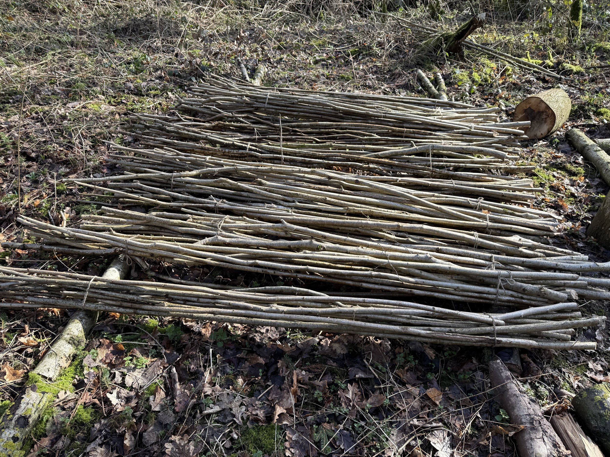 Bean Poles