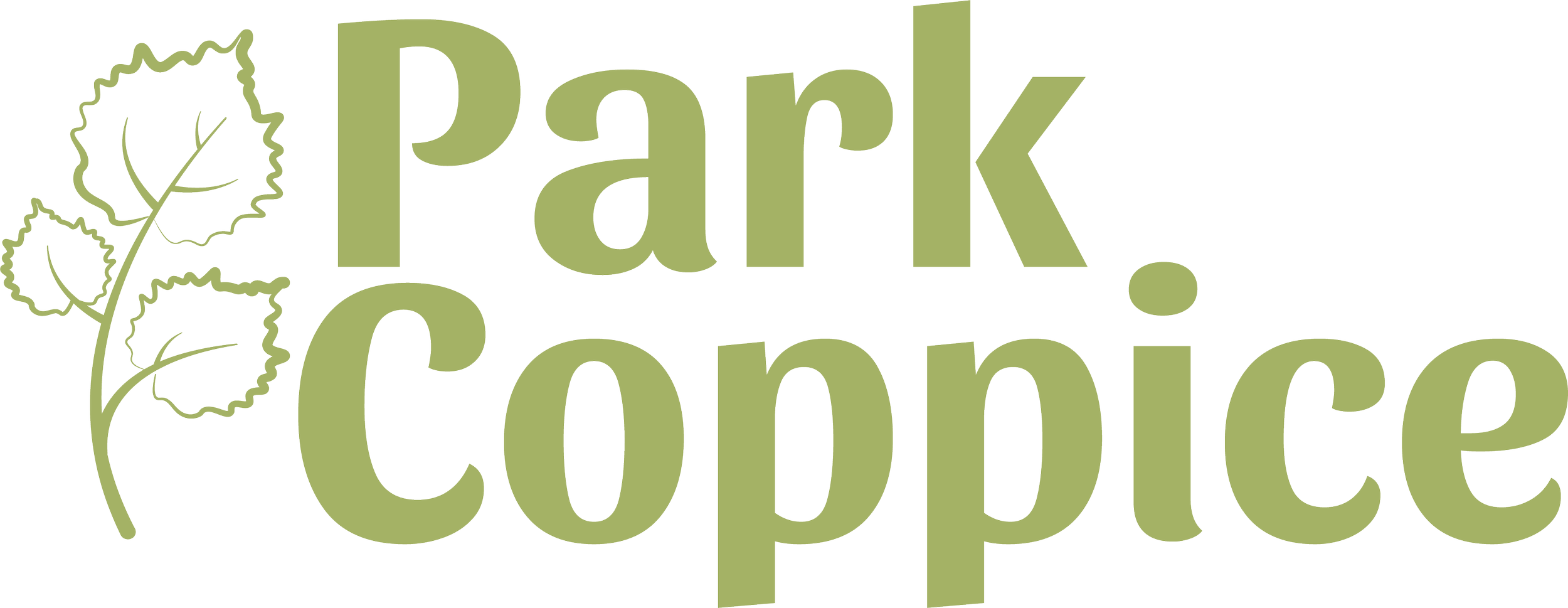 parkcoppice.uk