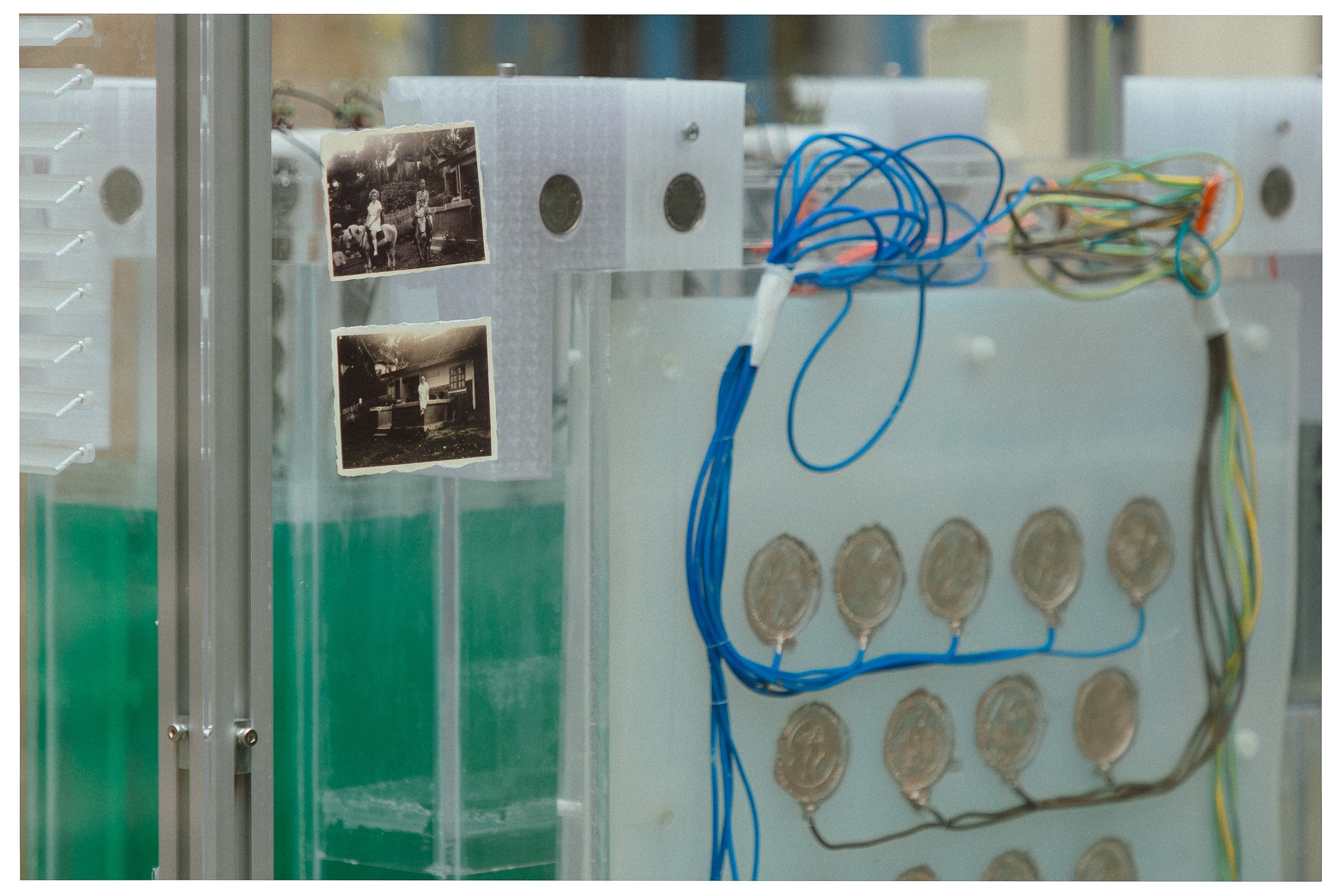 Documentaire foto van evenement in Den Bosch, gefotografeerd door Jan Gradje Vollebergh