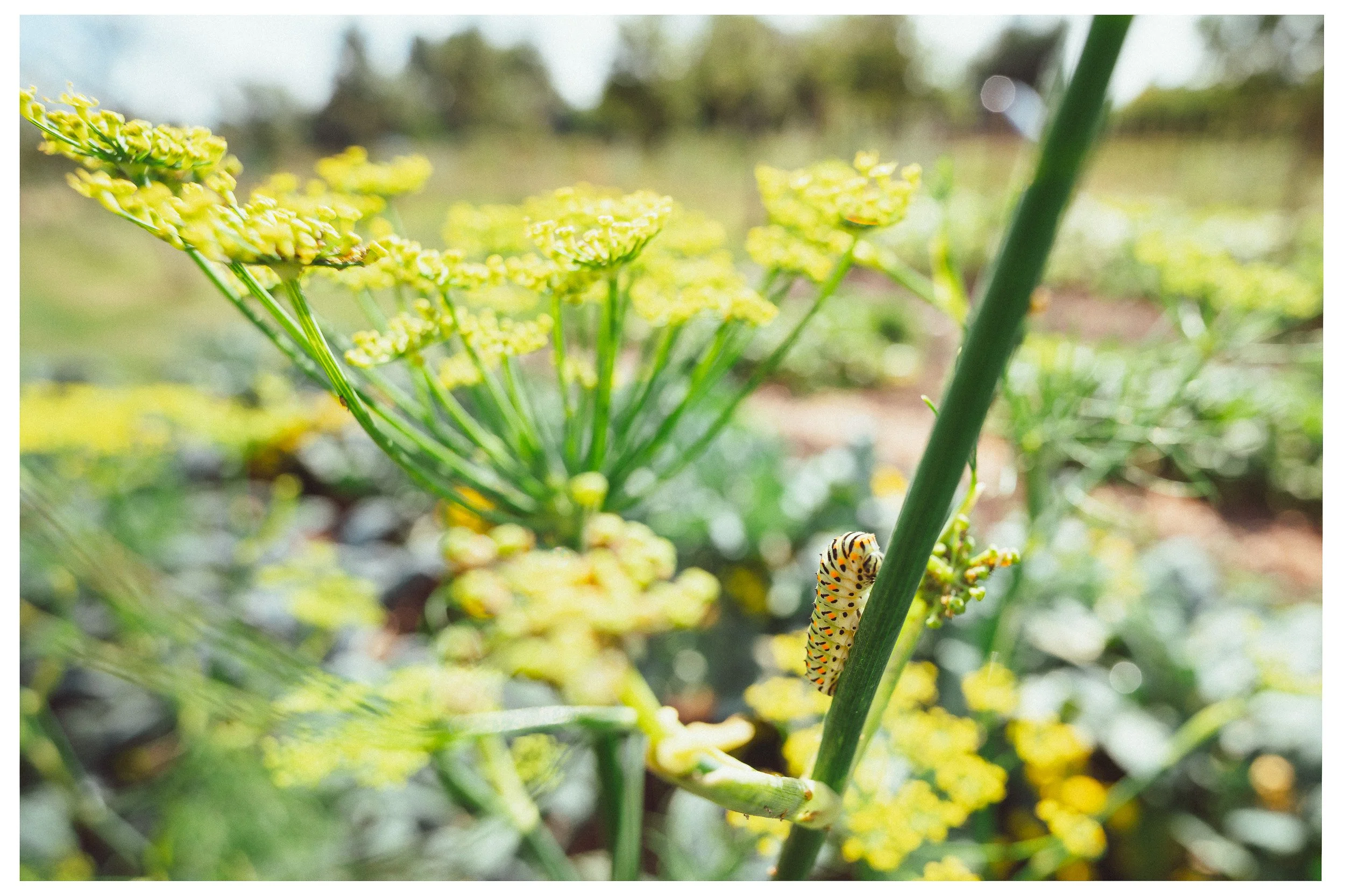 Documentaire foto van evenement in Den Bosch, gefotografeerd door Jan Gradje Vollebergh