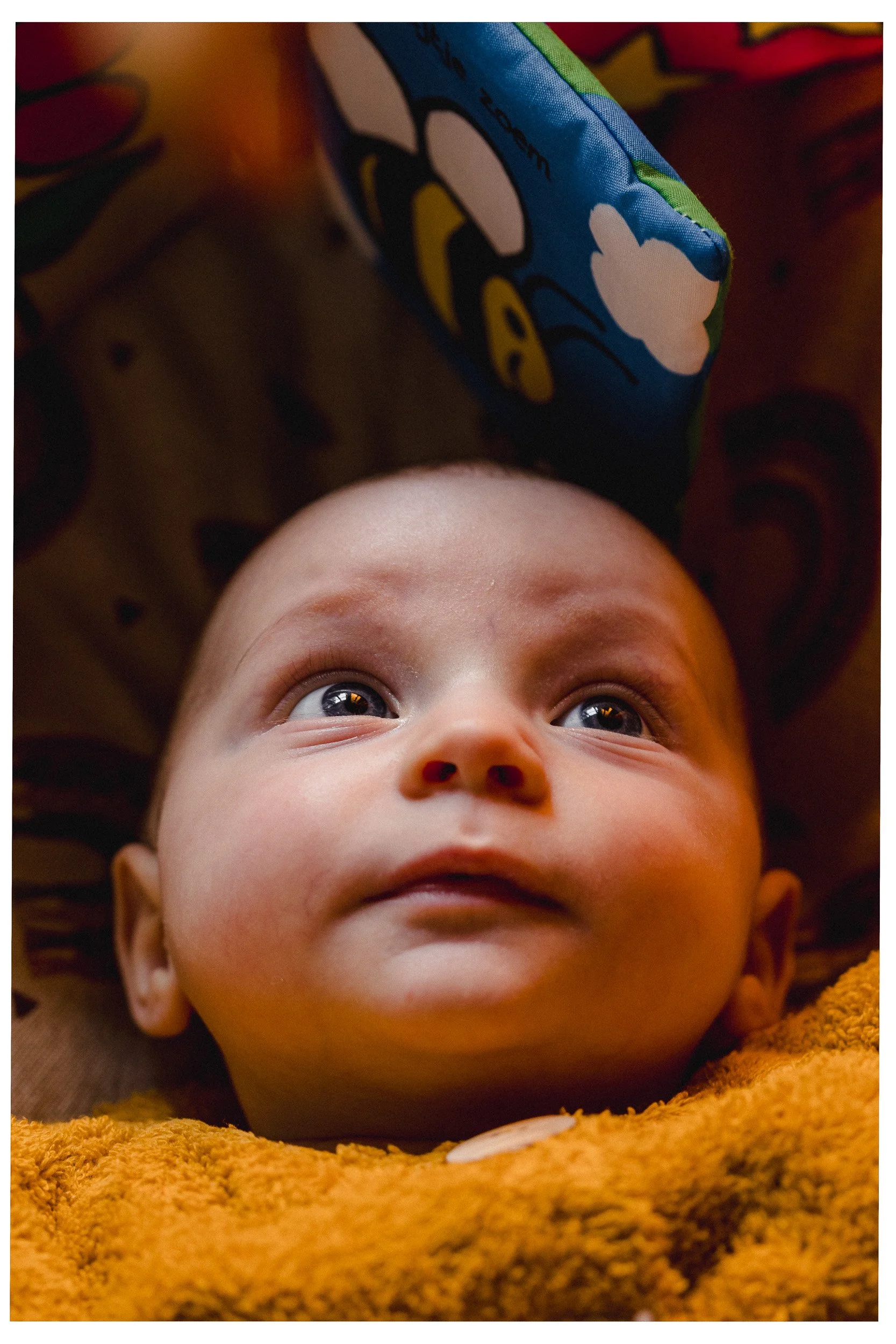 Documentair portret van familie in Den Bosch, gefotografeerd door Jan Gradje Vollebergh