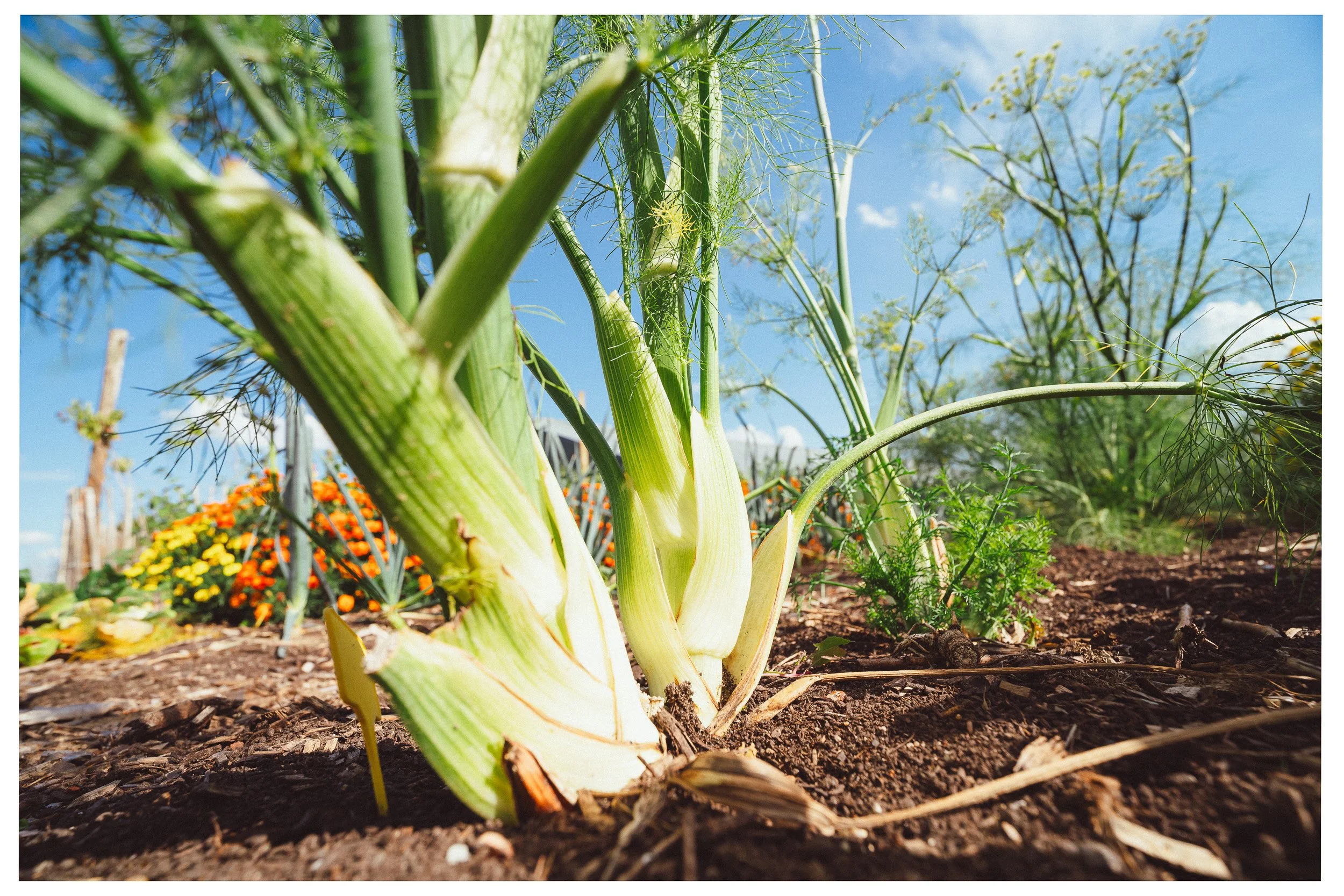 Documentaire foto van evenement in Den Bosch, gefotografeerd door Jan Gradje Vollebergh