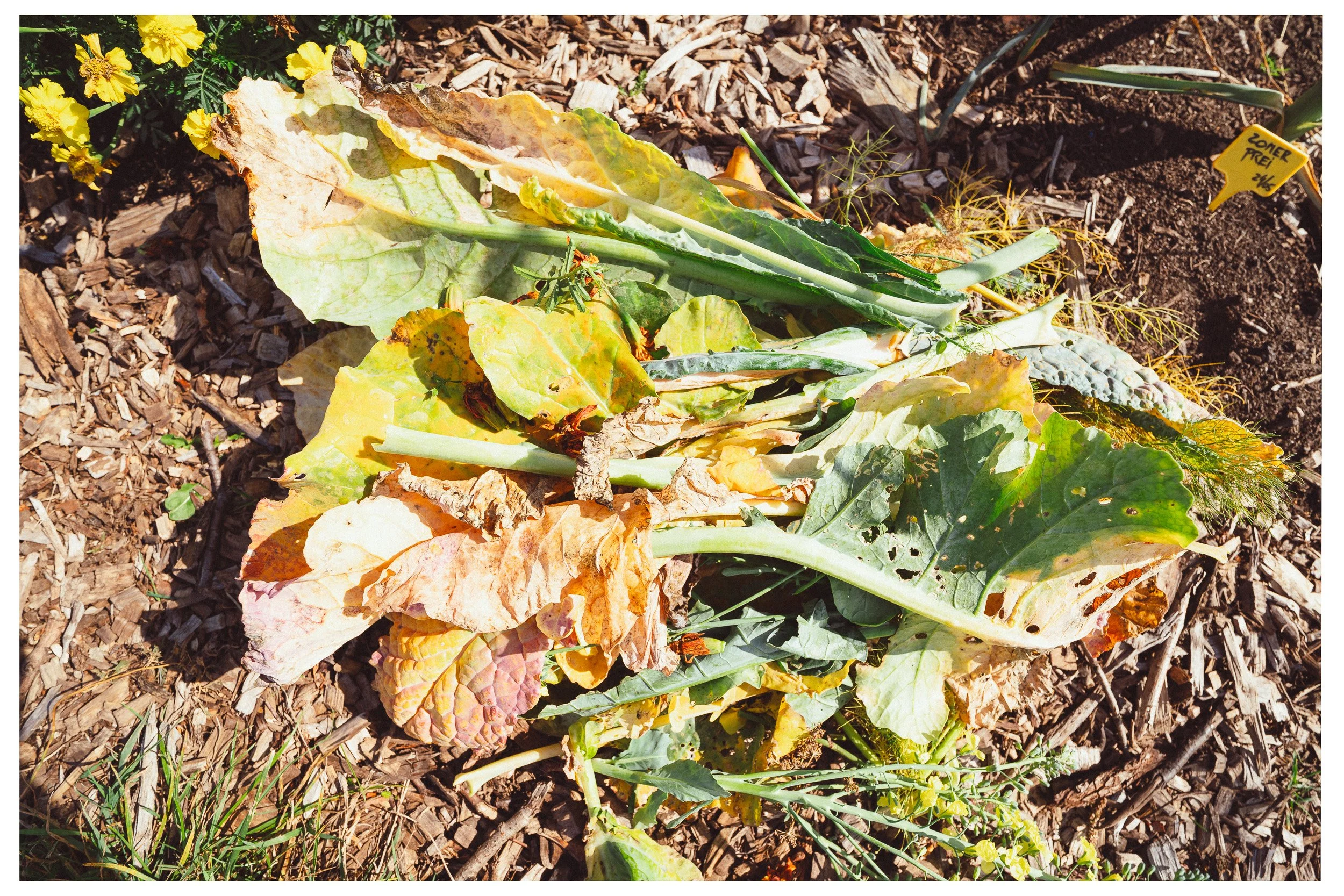 Documentaire foto van evenement in Den Bosch, gefotografeerd door Jan Gradje Vollebergh