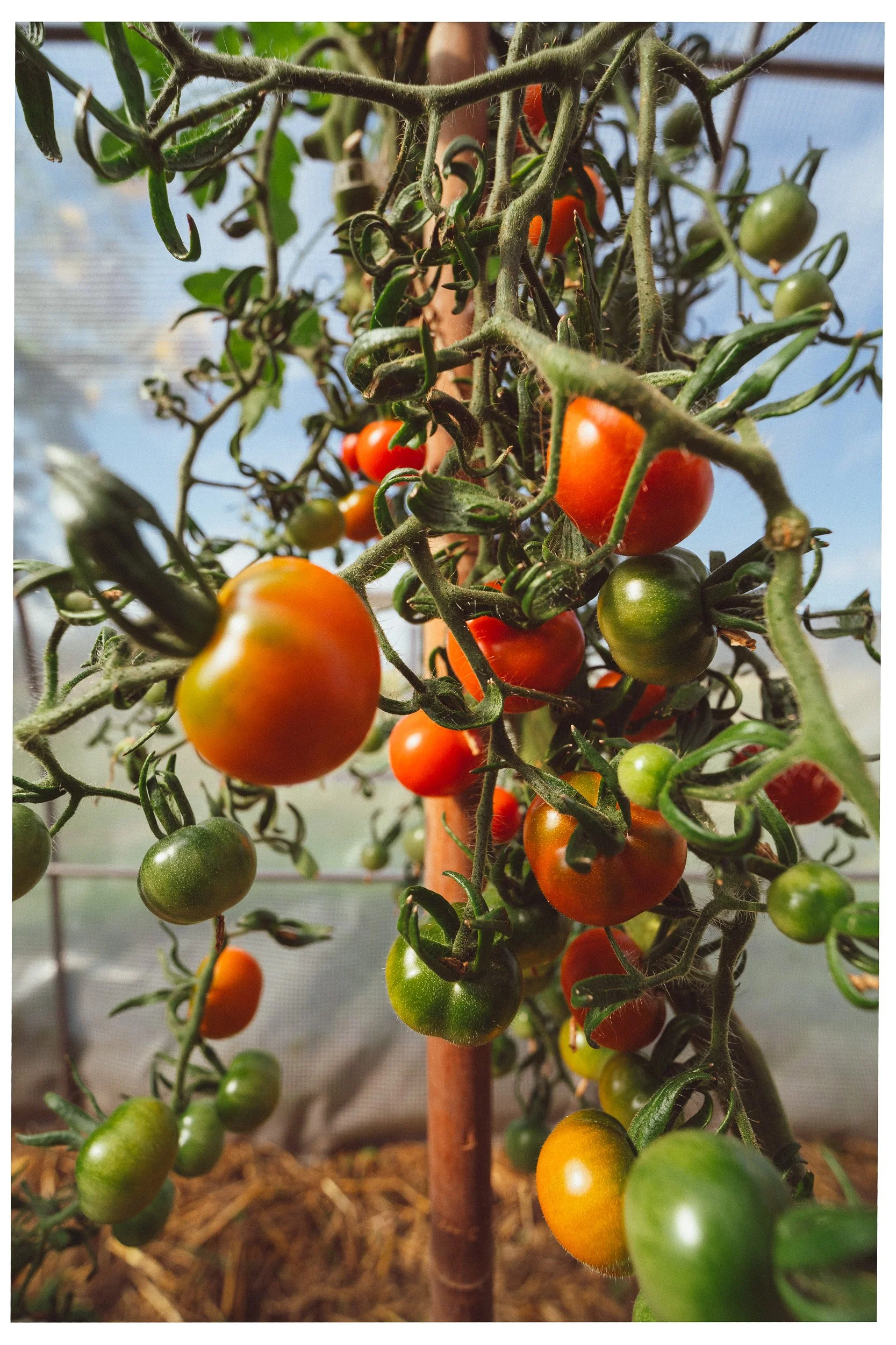 Documentaire foto van evenement in Den Bosch, gefotografeerd door Jan Gradje Vollebergh
