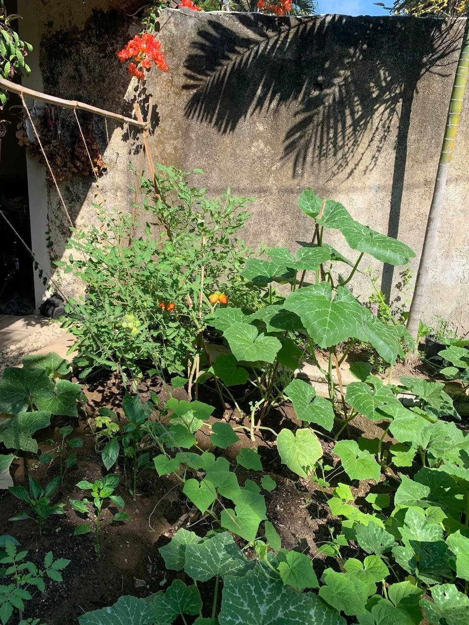 Living in the Full Circle of Whole Foods