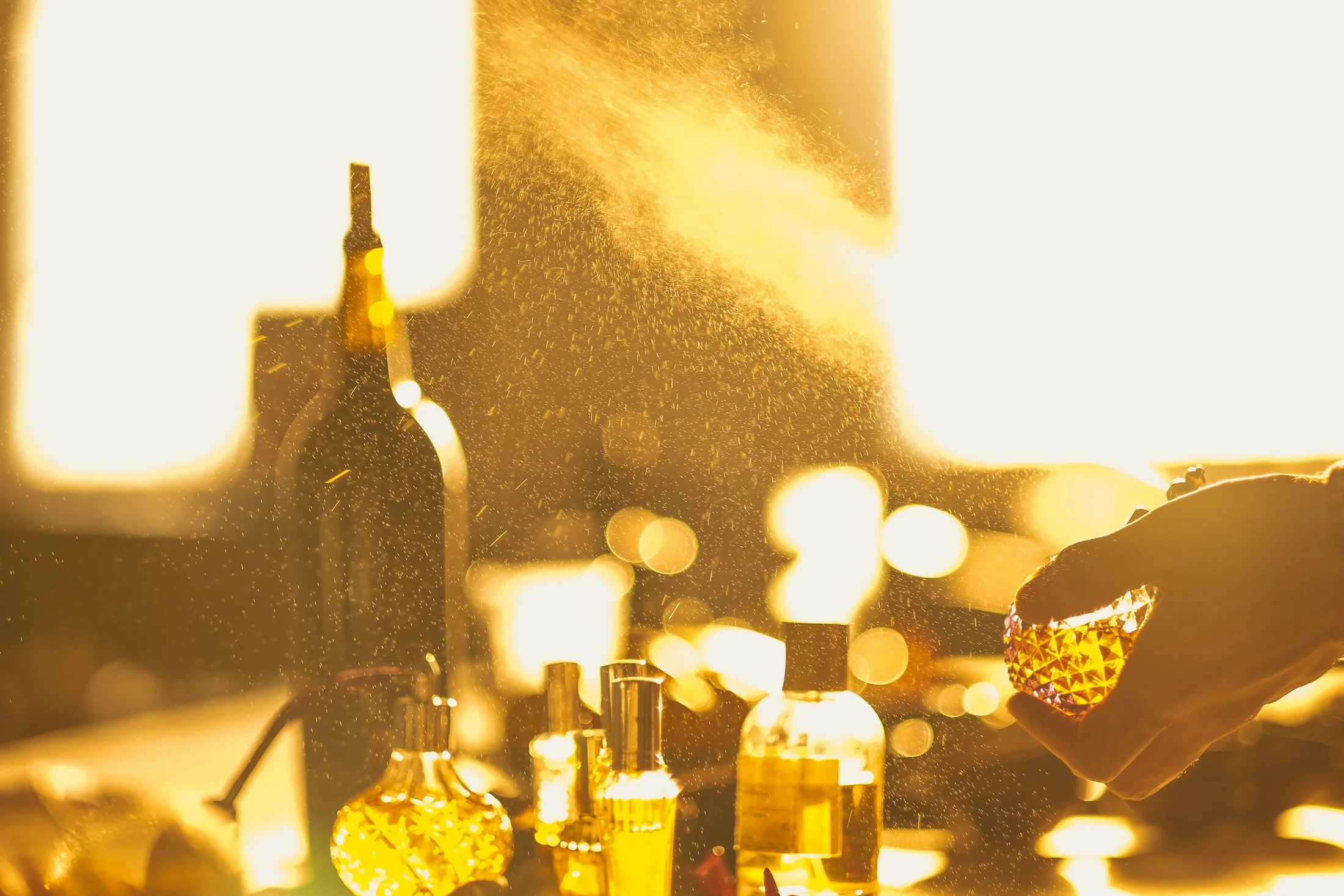 nicoguneldinner_09 copy.JPG