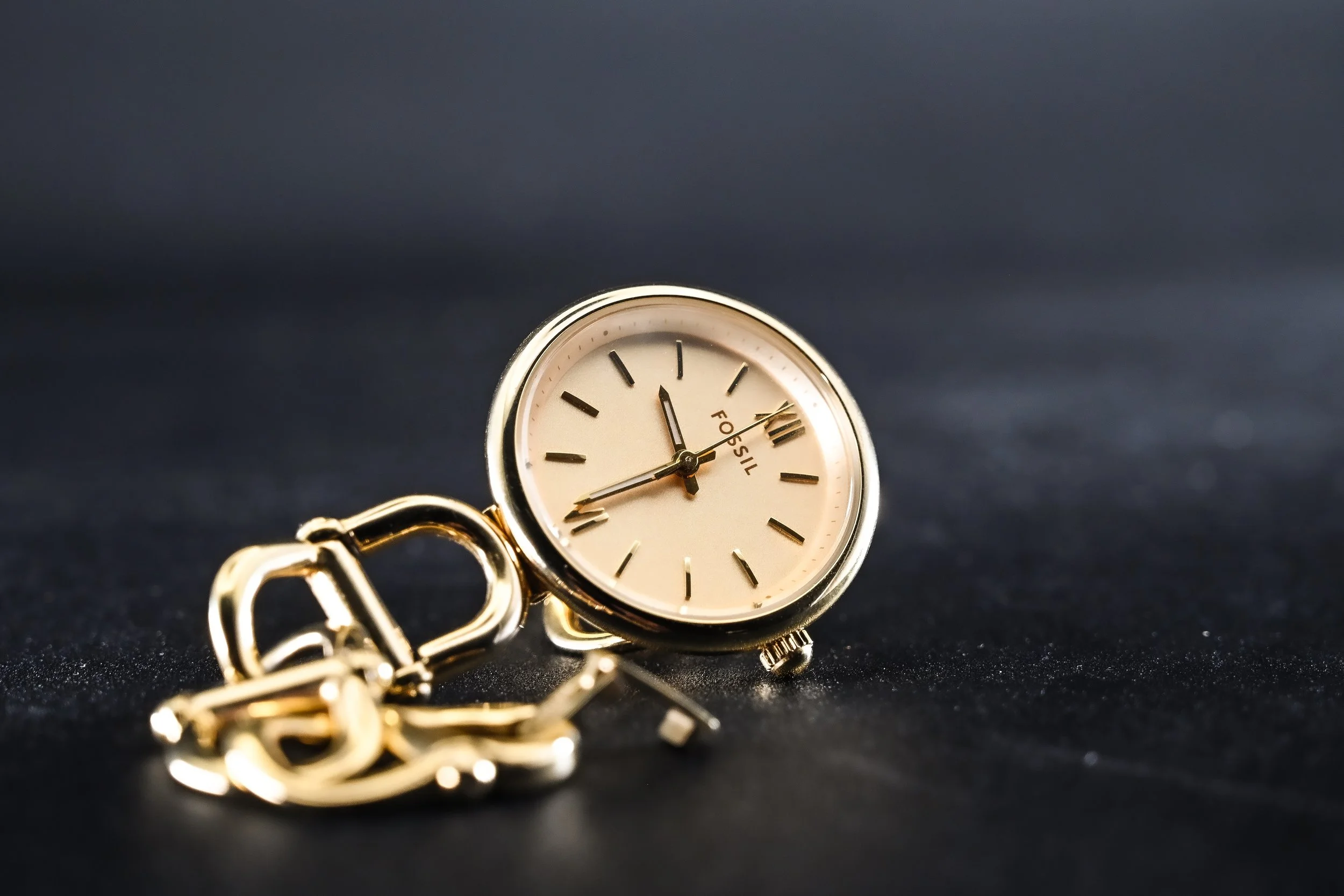 Fossil-GOLD-09.jpg