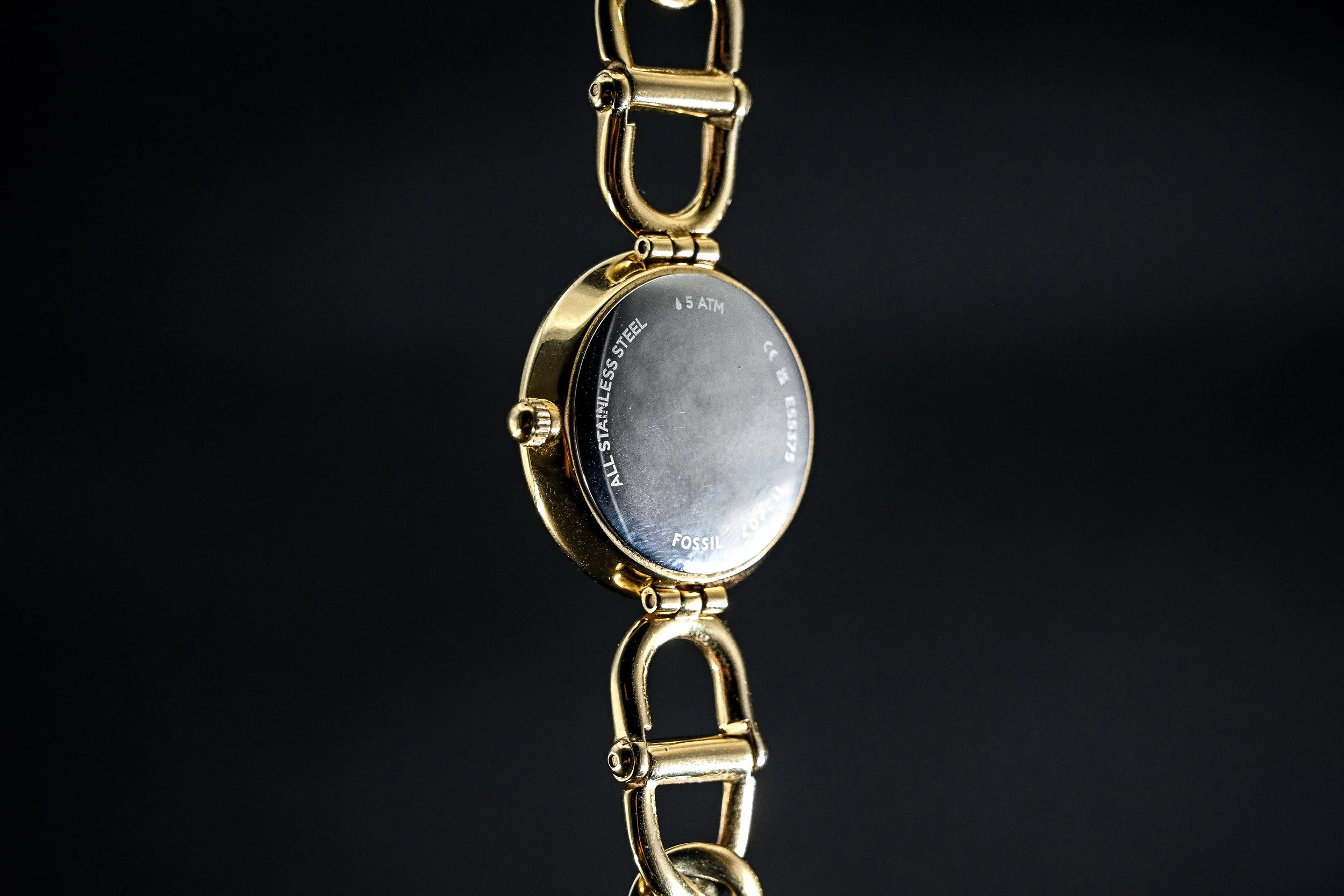Fossil-GOLD-05.jpg
