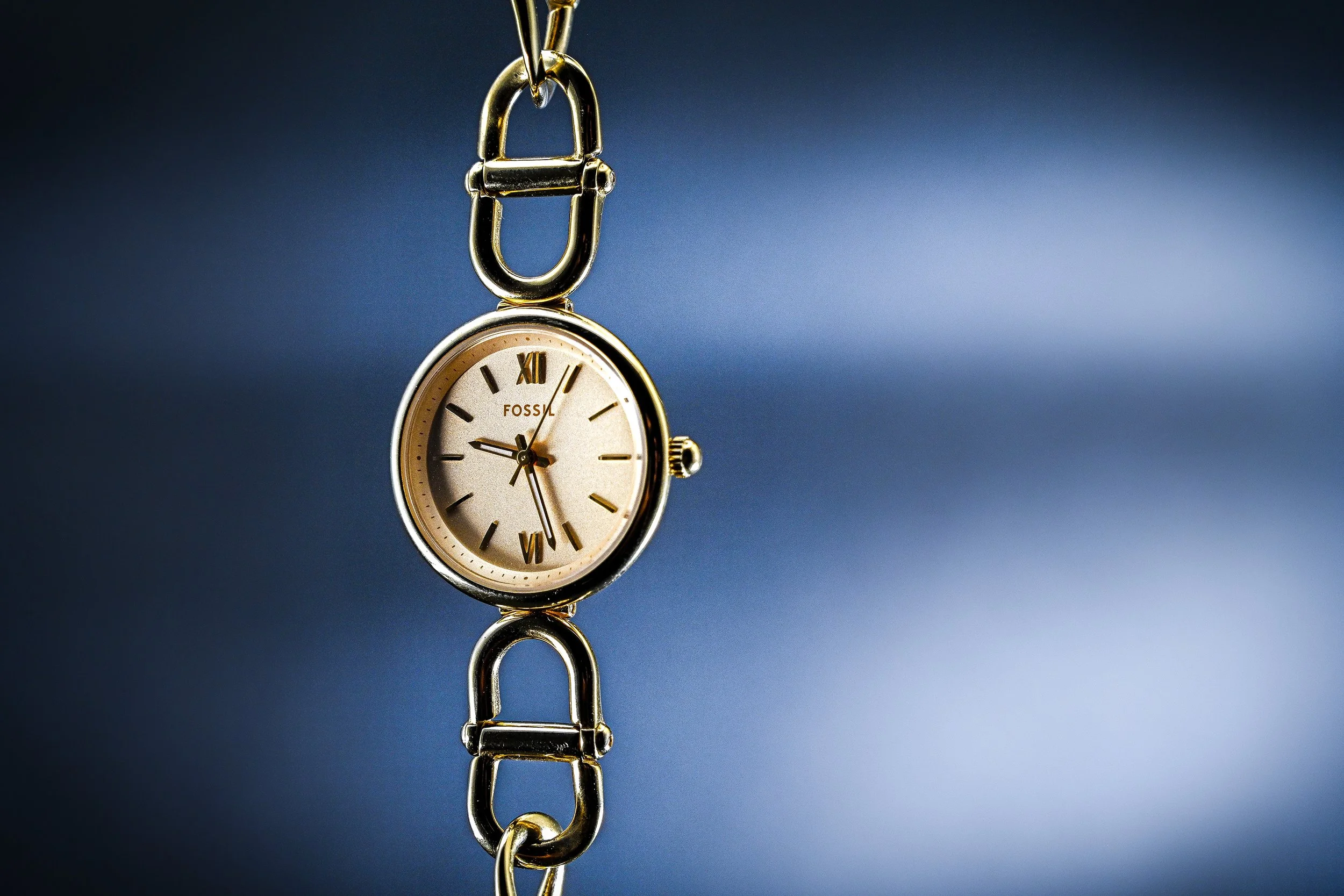 Fossil-GOLD-07.jpg