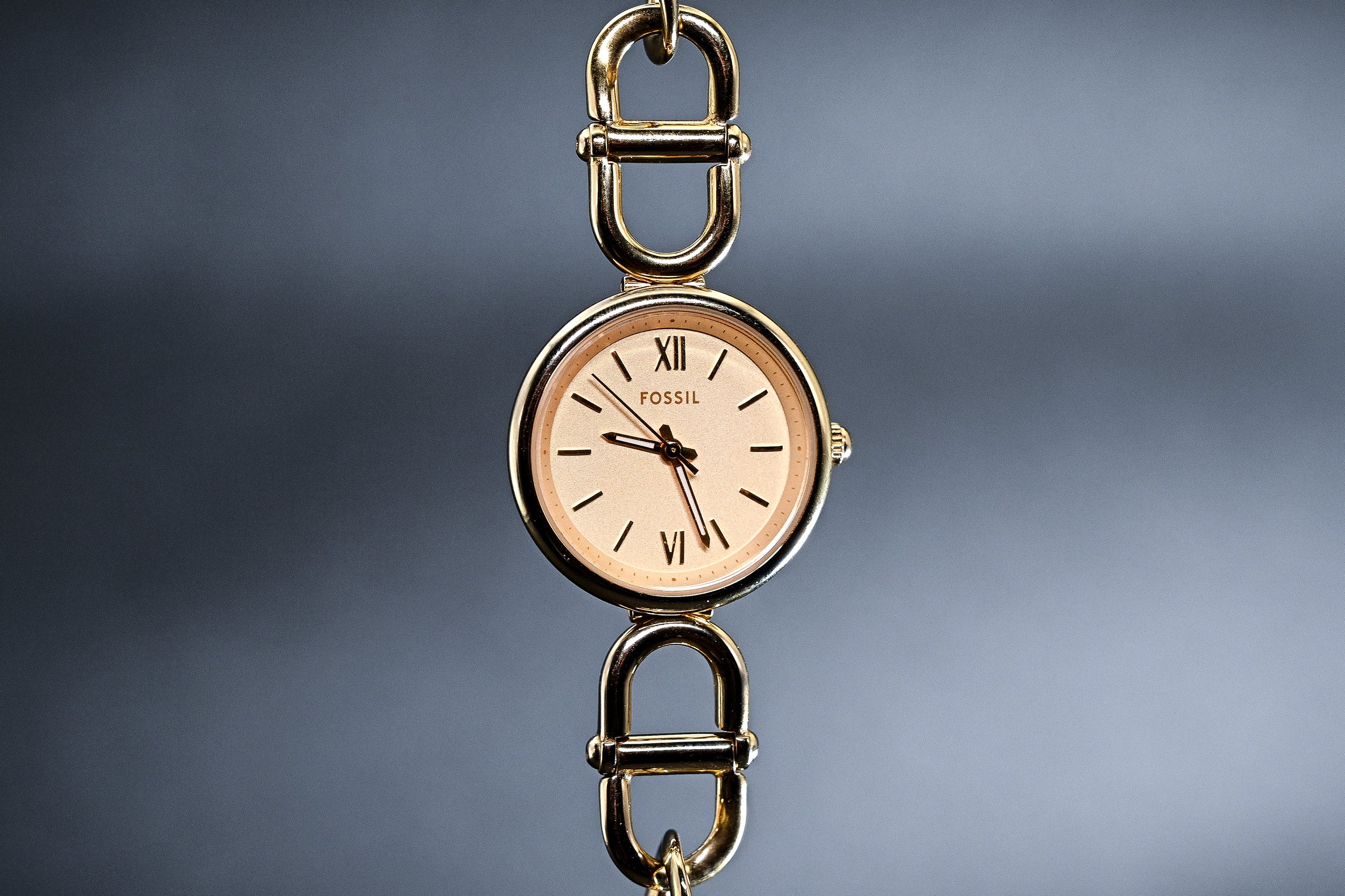 Fossil-GOLD-06.jpg