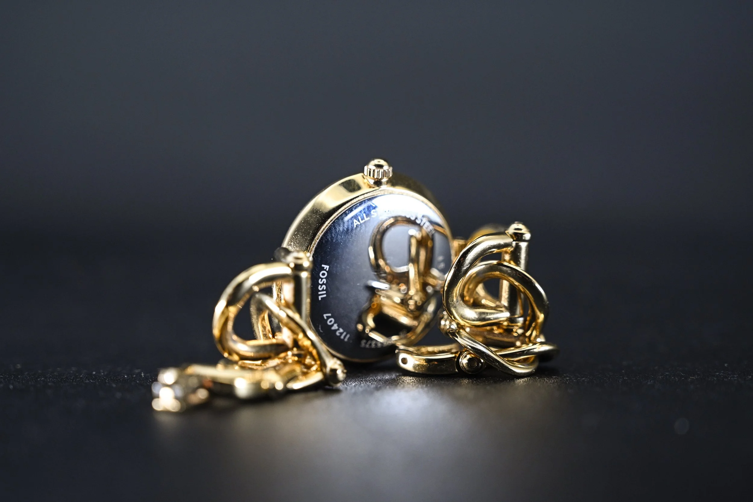 Fossil-GOLD-04.jpg