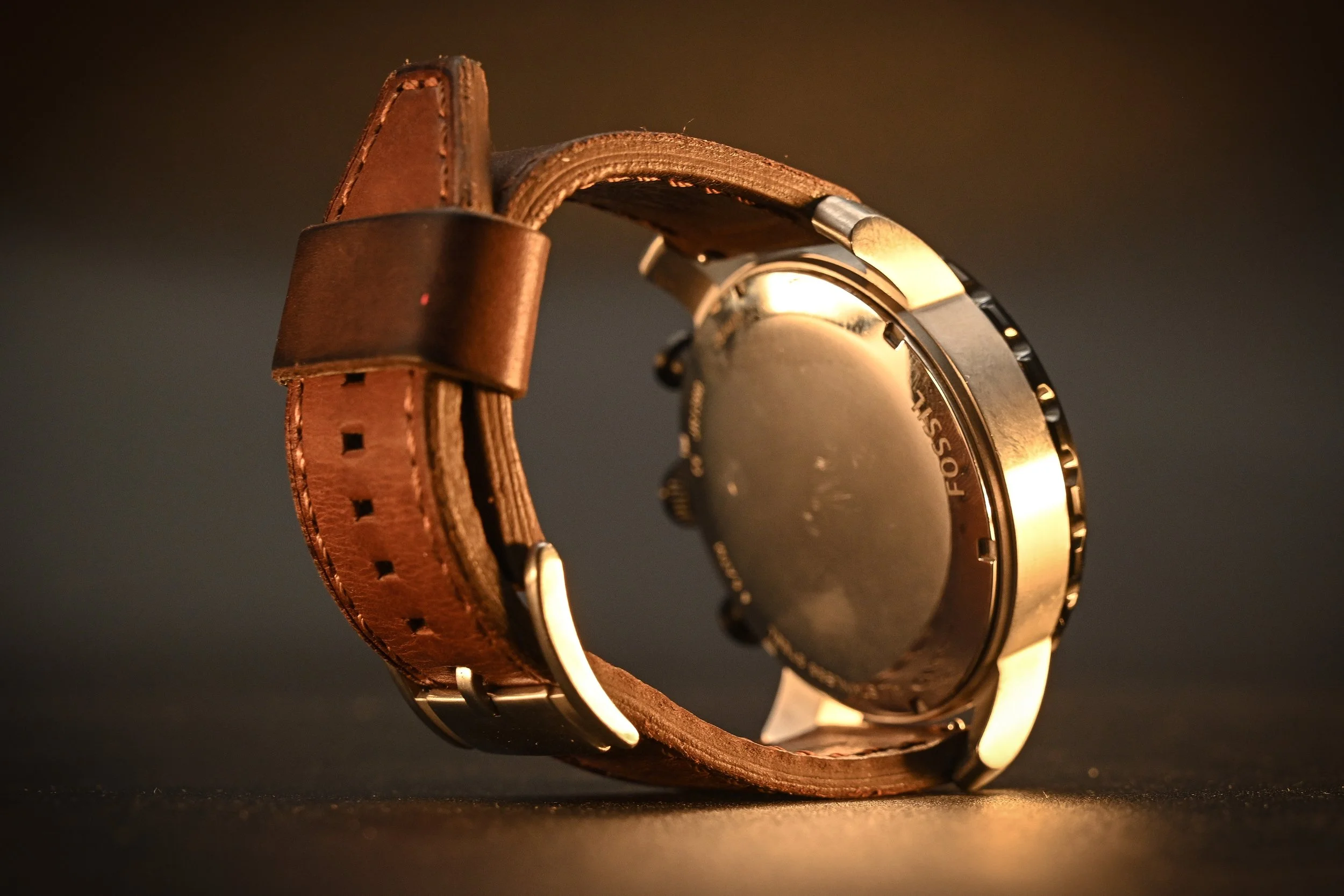 Fossil-brownband-09.jpg