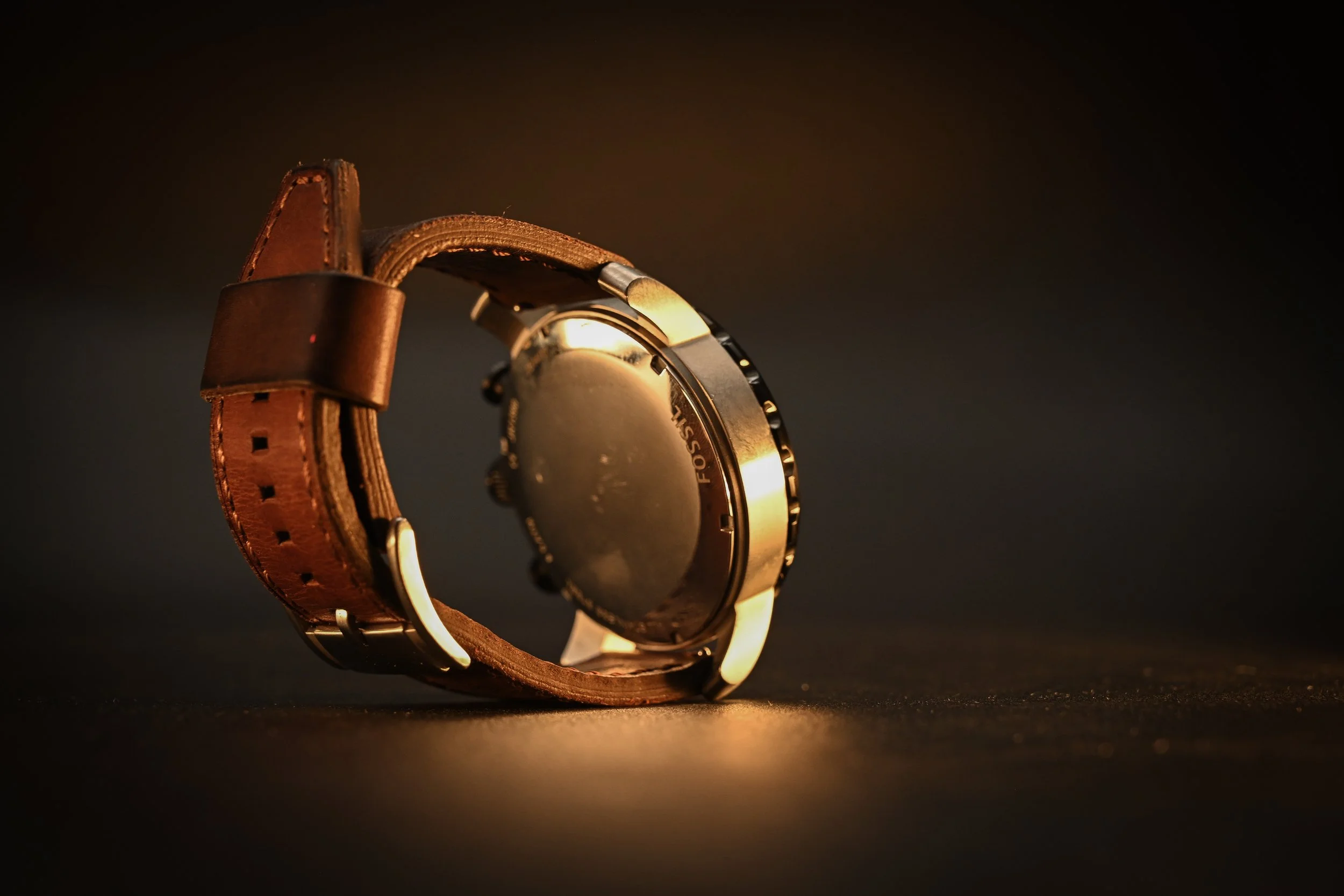 Fossil-brownband-03.jpg