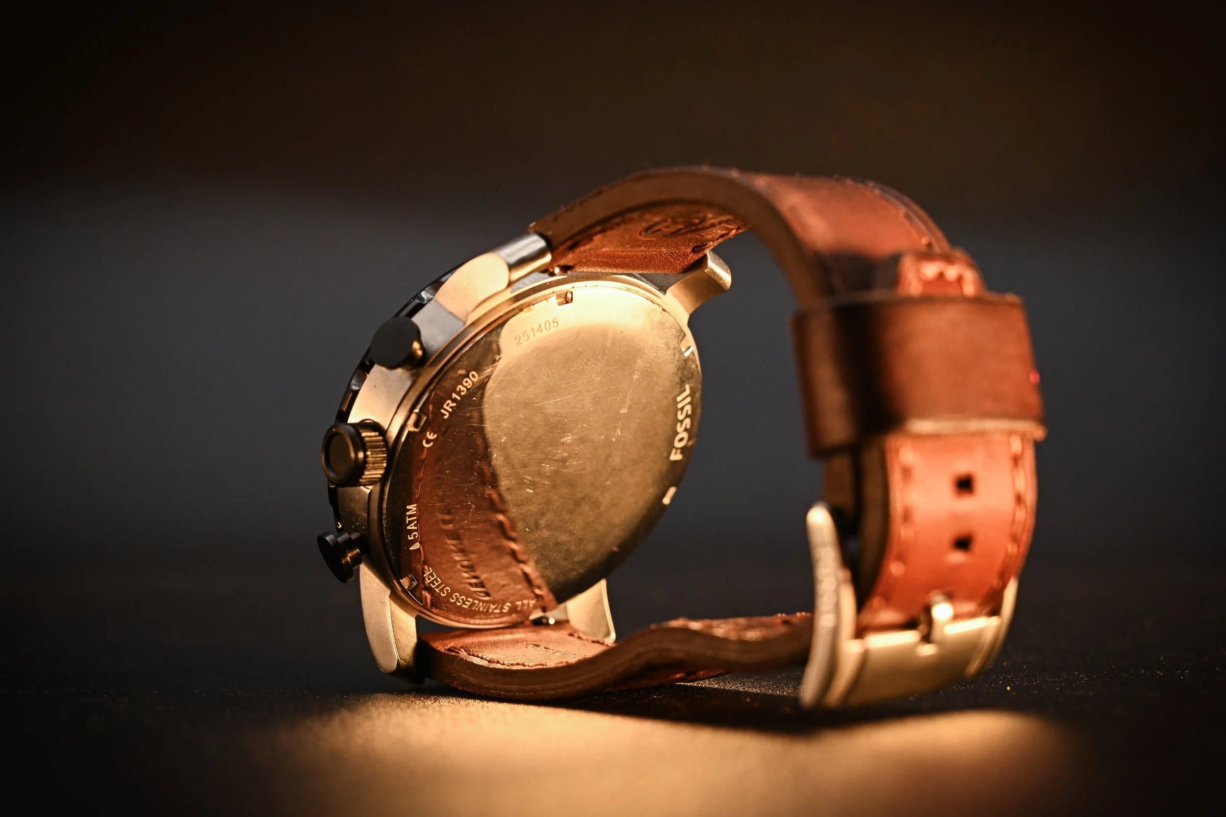 Fossil-brownband-08.jpg