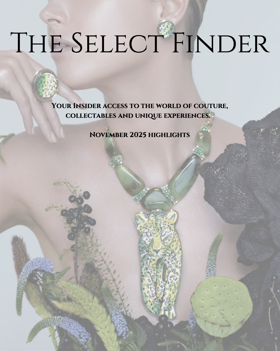 November 2025 Highlights