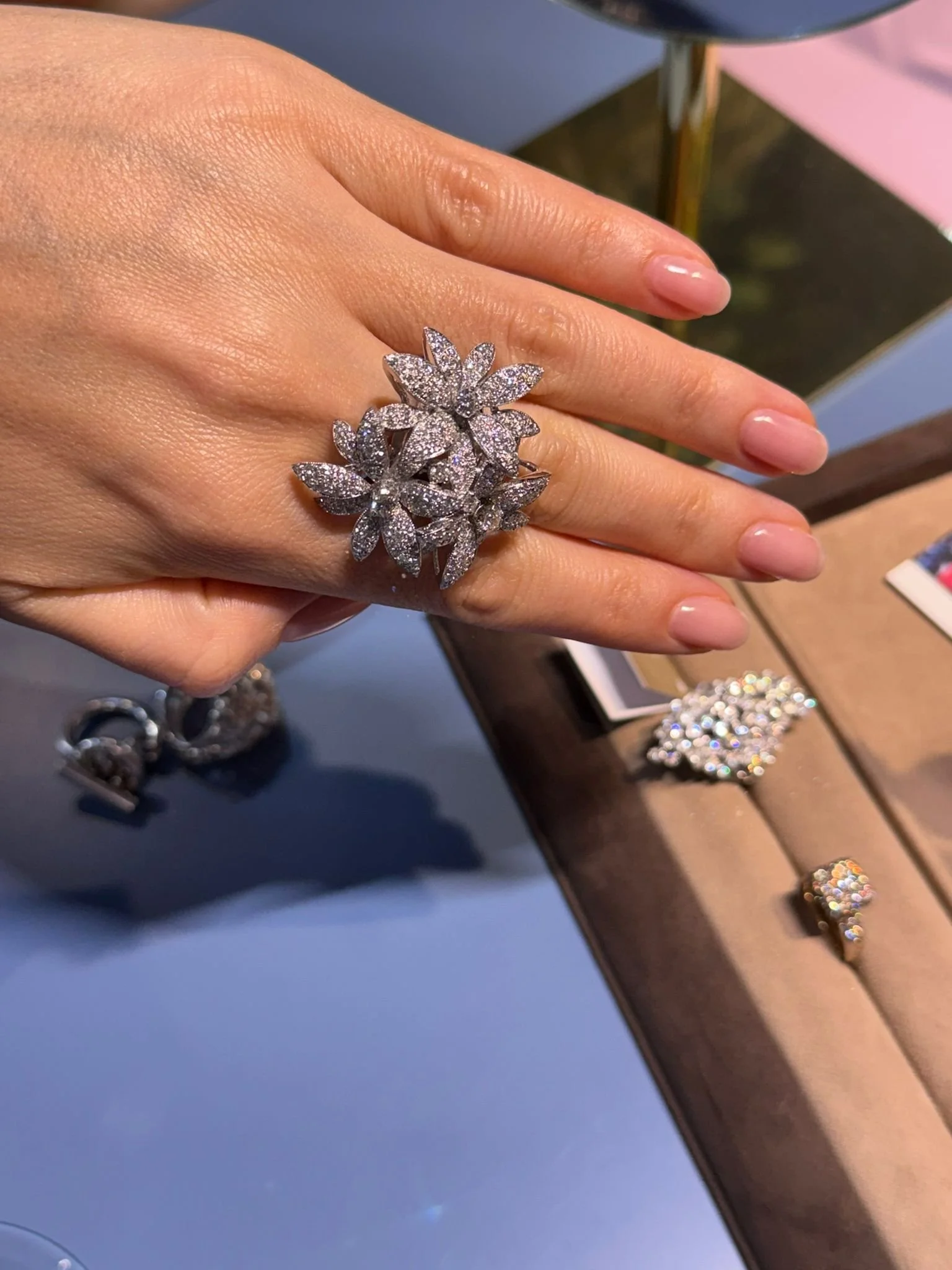 WhatsApp Image 2025-10-24 at 23.08.41.jpeg