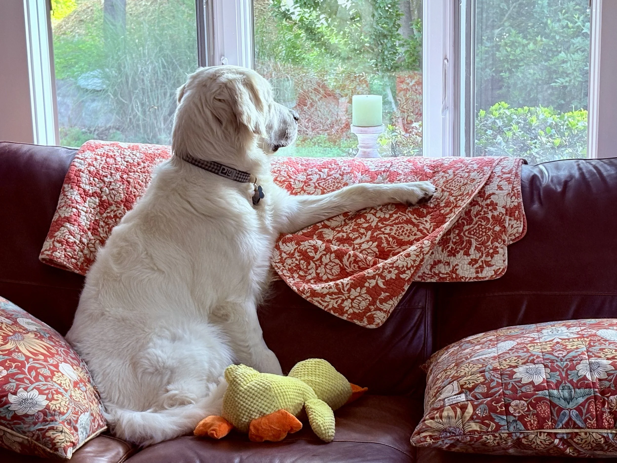 Winston Thinking .jpg