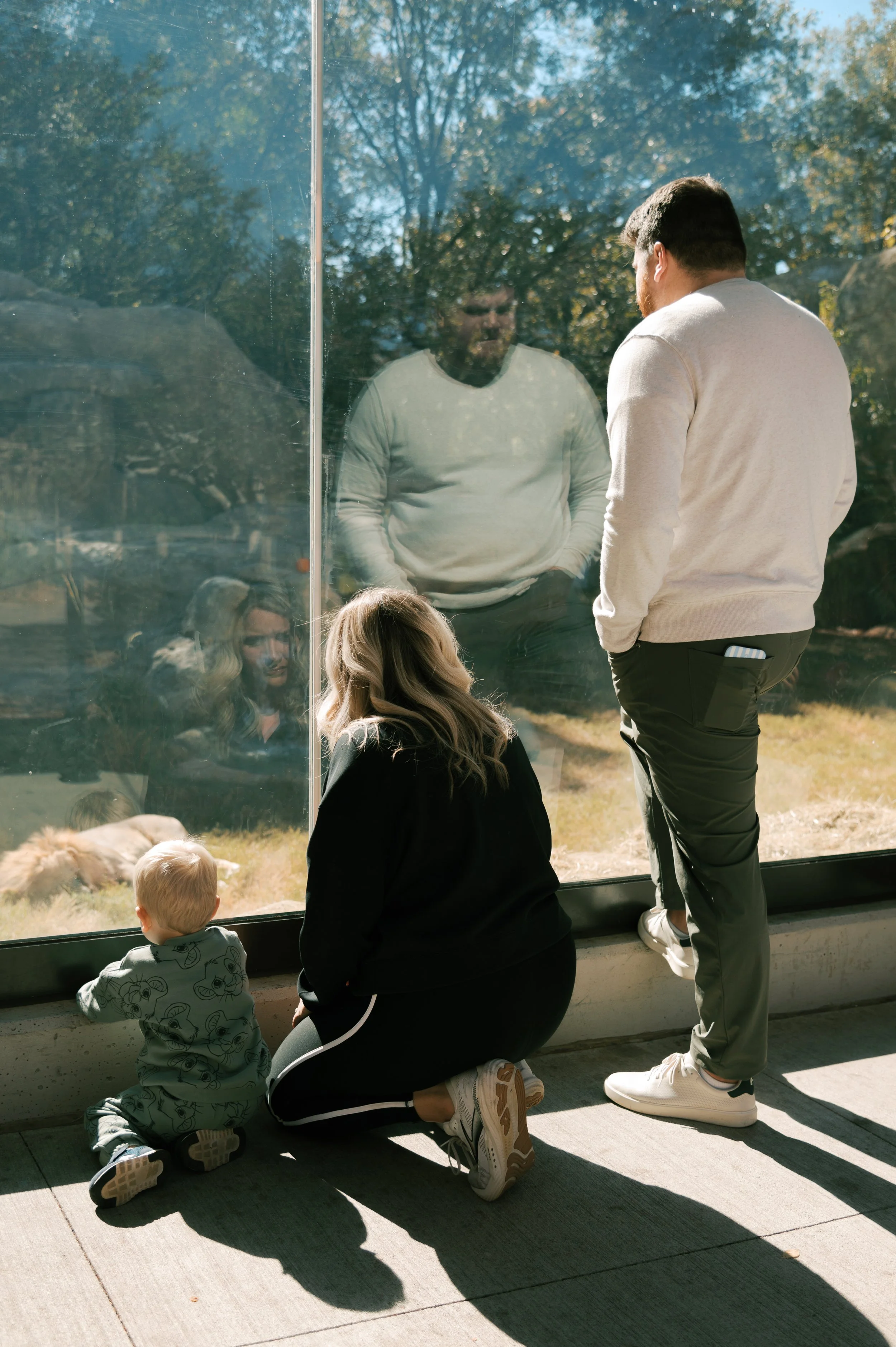 People, including children and adults, looking through a large glass window at animals in a zoo. The scene is outdoors with trees in the background.