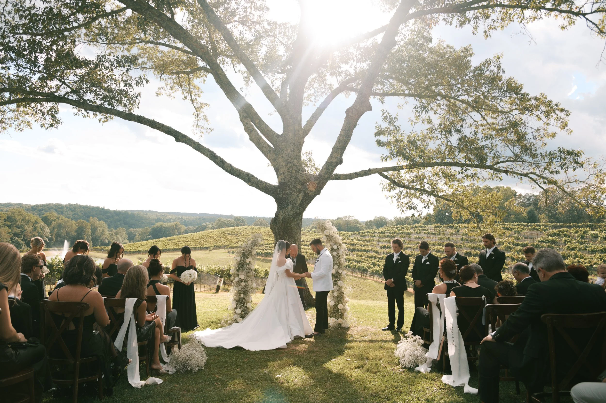 A wedding ceremony outdoors under a large tree with an expansive vineyard in the background. The bride and groom are exchanging vows, surrounded by wedding attendants and guests, with floral decorations.