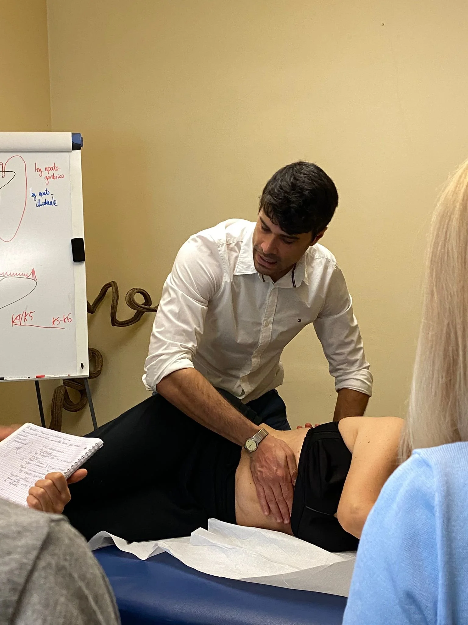 Dario Improta Osteopata durante una dimostrazione pratica di trattamento manuale addominale, con partecipanti e lavagna anatomica