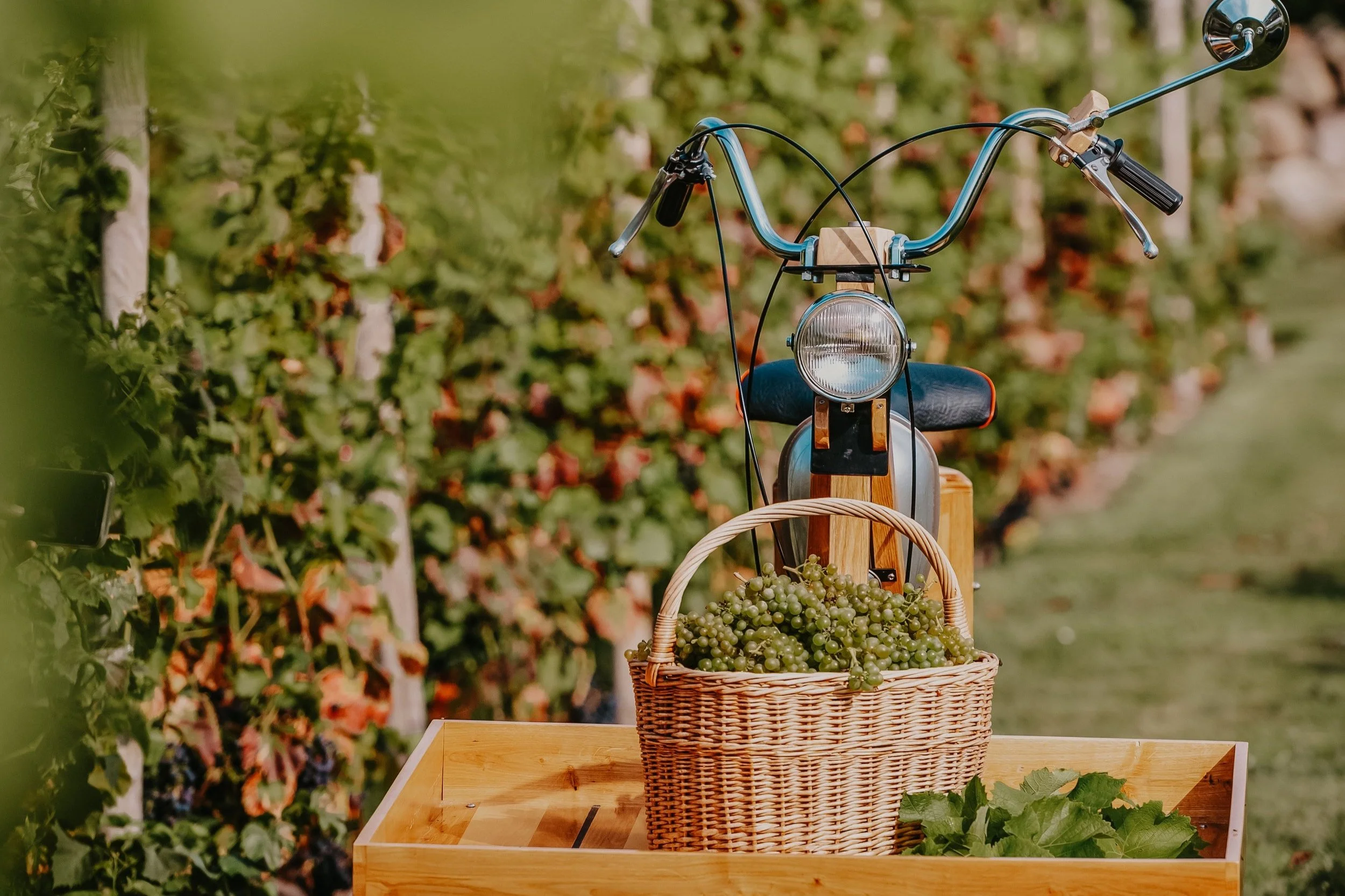 Fotograf: Malin Landgren