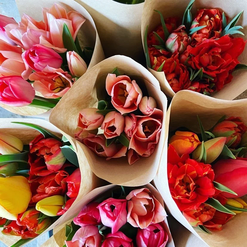 Flera buketter med tulpaner i olika nyanser av rosa, rött, gult och orange, insvepta i brunt papper.