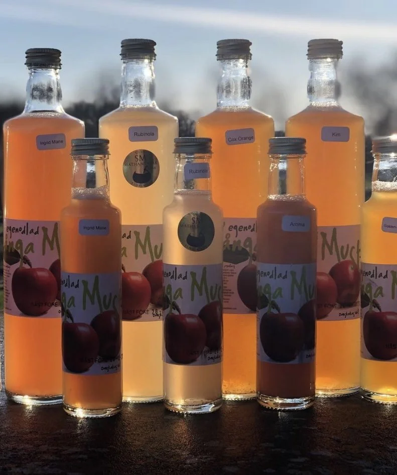 Flera glasflaskor med äppeljuice eller äppelbaserade drycker, etiketter med olika frukt- och citrusnamn, på en solig bakgrund.