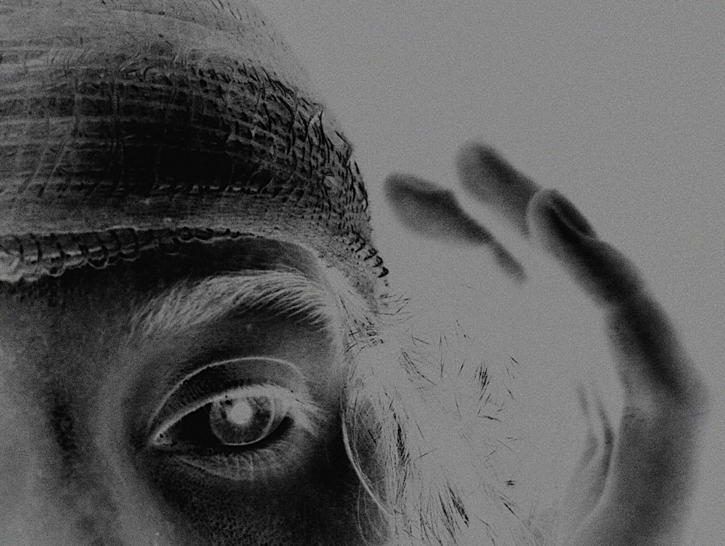 Screenshot 2024-10-07 at 16.28.53.jpeg