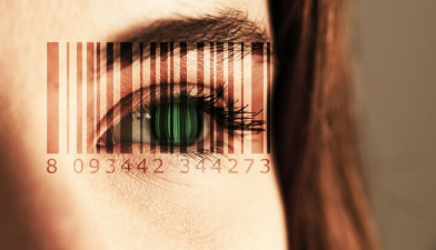 transition-between-worlds-2025-path-matrix.png