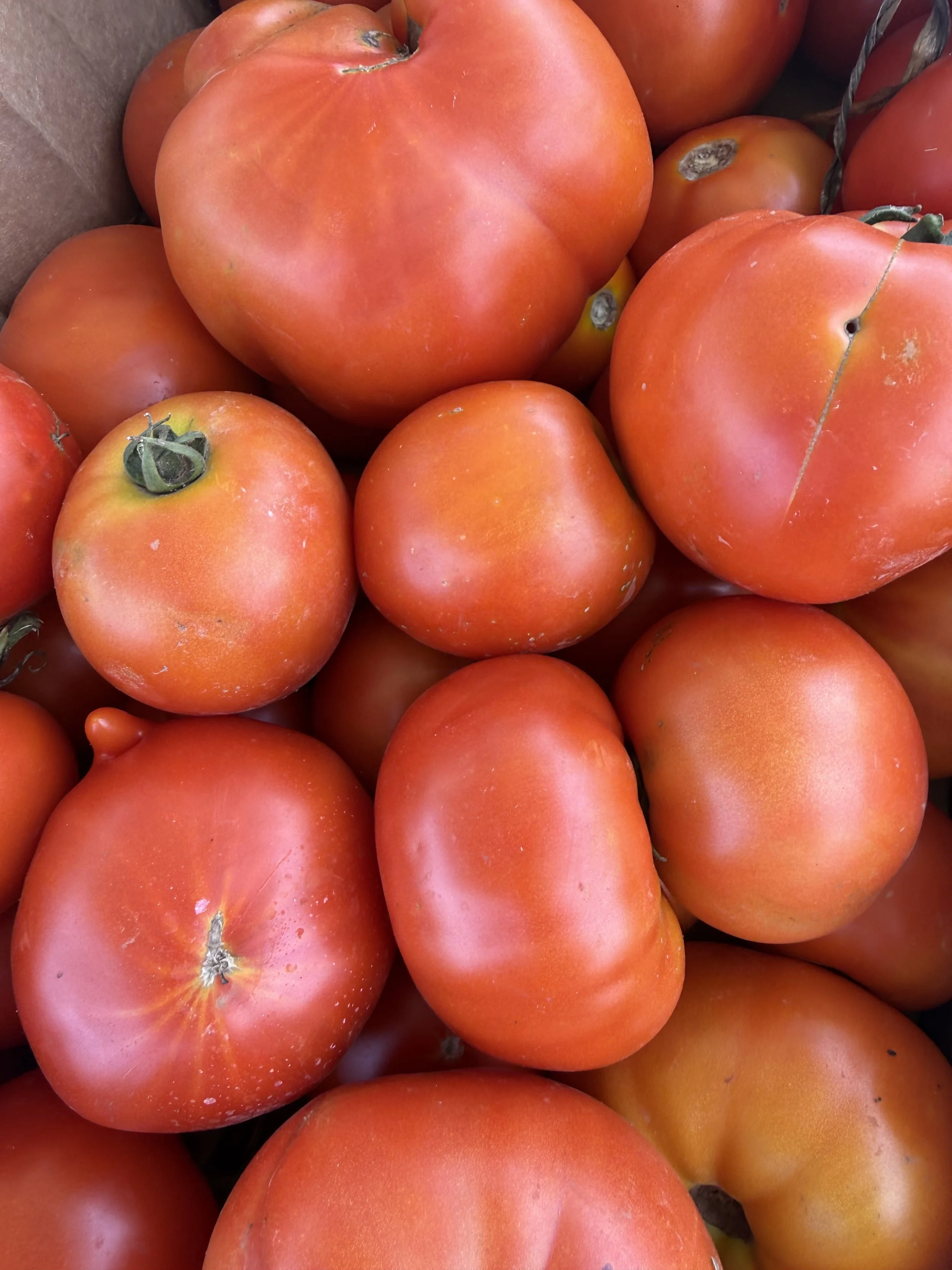 A close-up of several ripe, red tomatoes with some green stems attached, showing their smooth skin and slight imperfections. Howell Farmers market by Hear Here