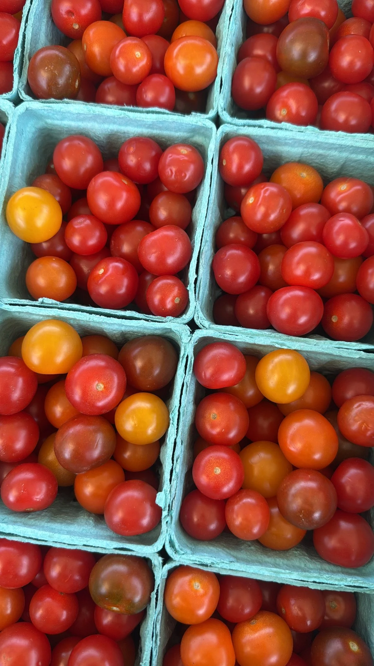 Several baskets of fresh tomatoes in shades of red, orange, and yellow at a market or grocery store. Howell Farmers market by Hear Here Events 2026 season