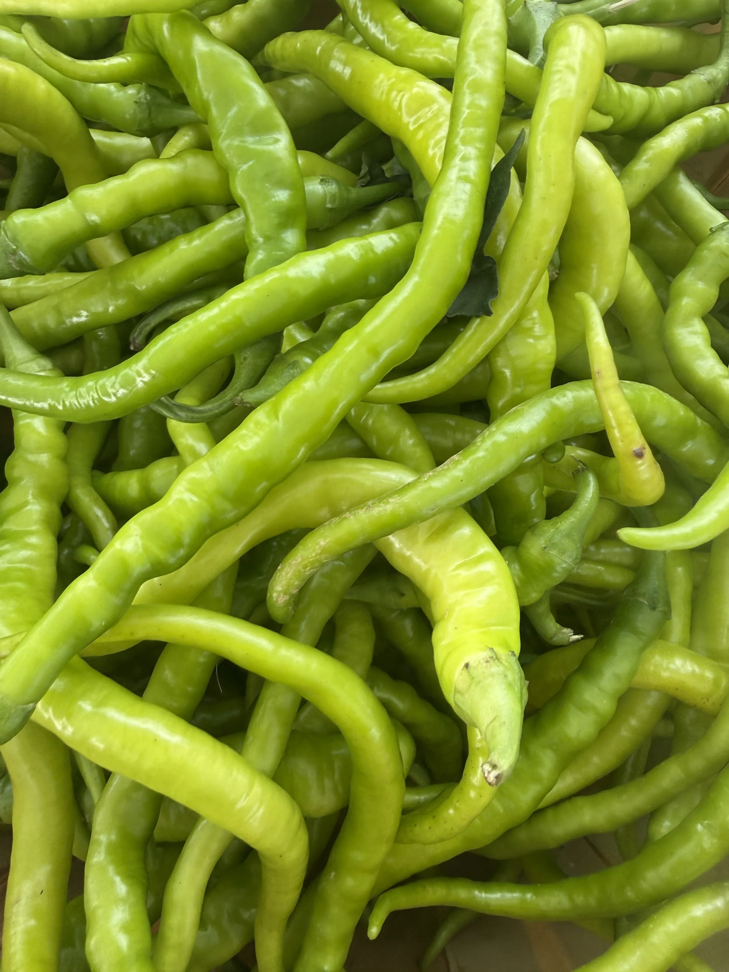 Fresh green chili peppers piled together. Parsippany Farmers market by Hear Here Events 2026 season