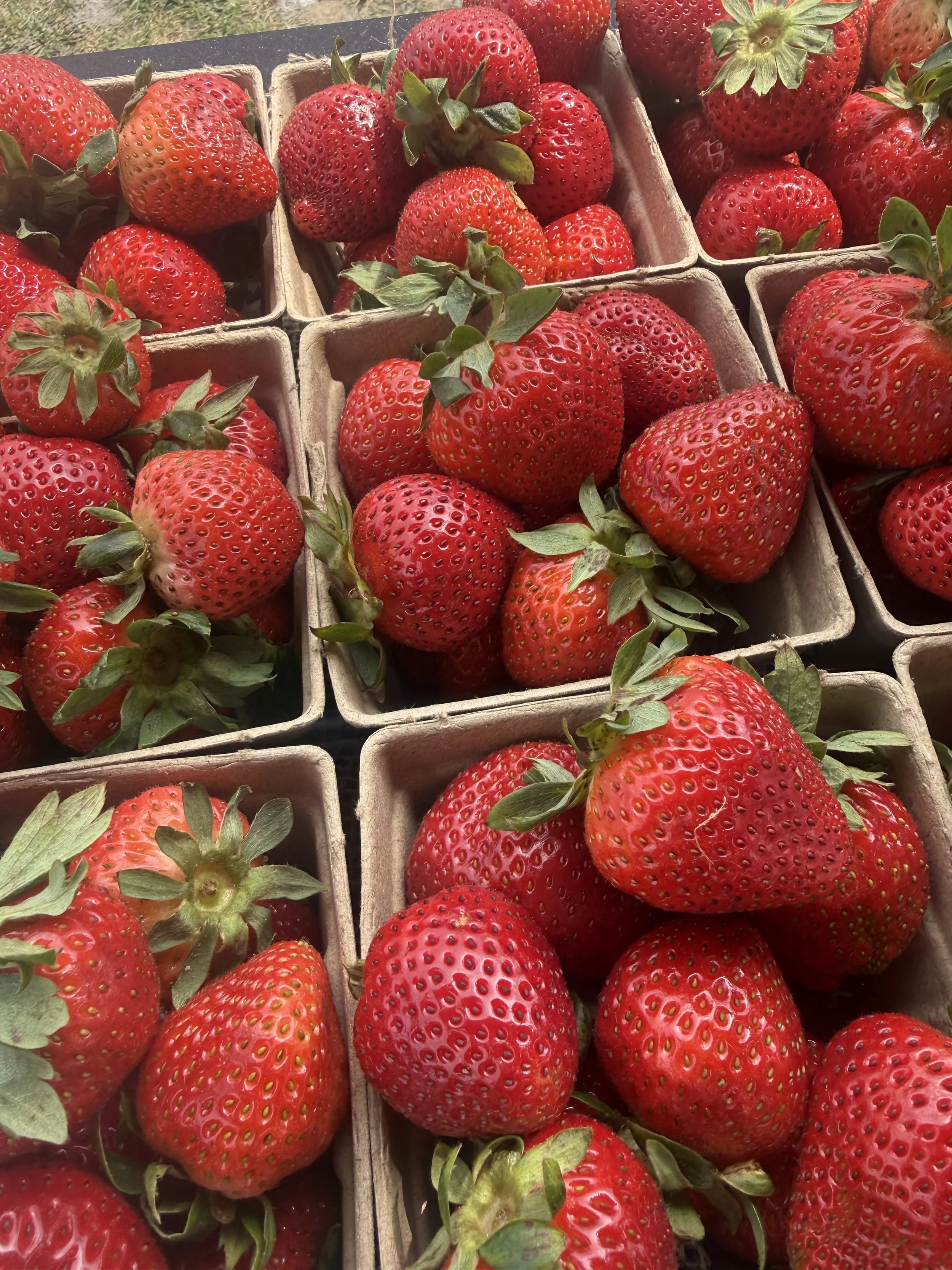 Fresh red strawberries with green leaves in small cardboard containers at a market. Howell Farmers market by Hear Here Events 2026 season