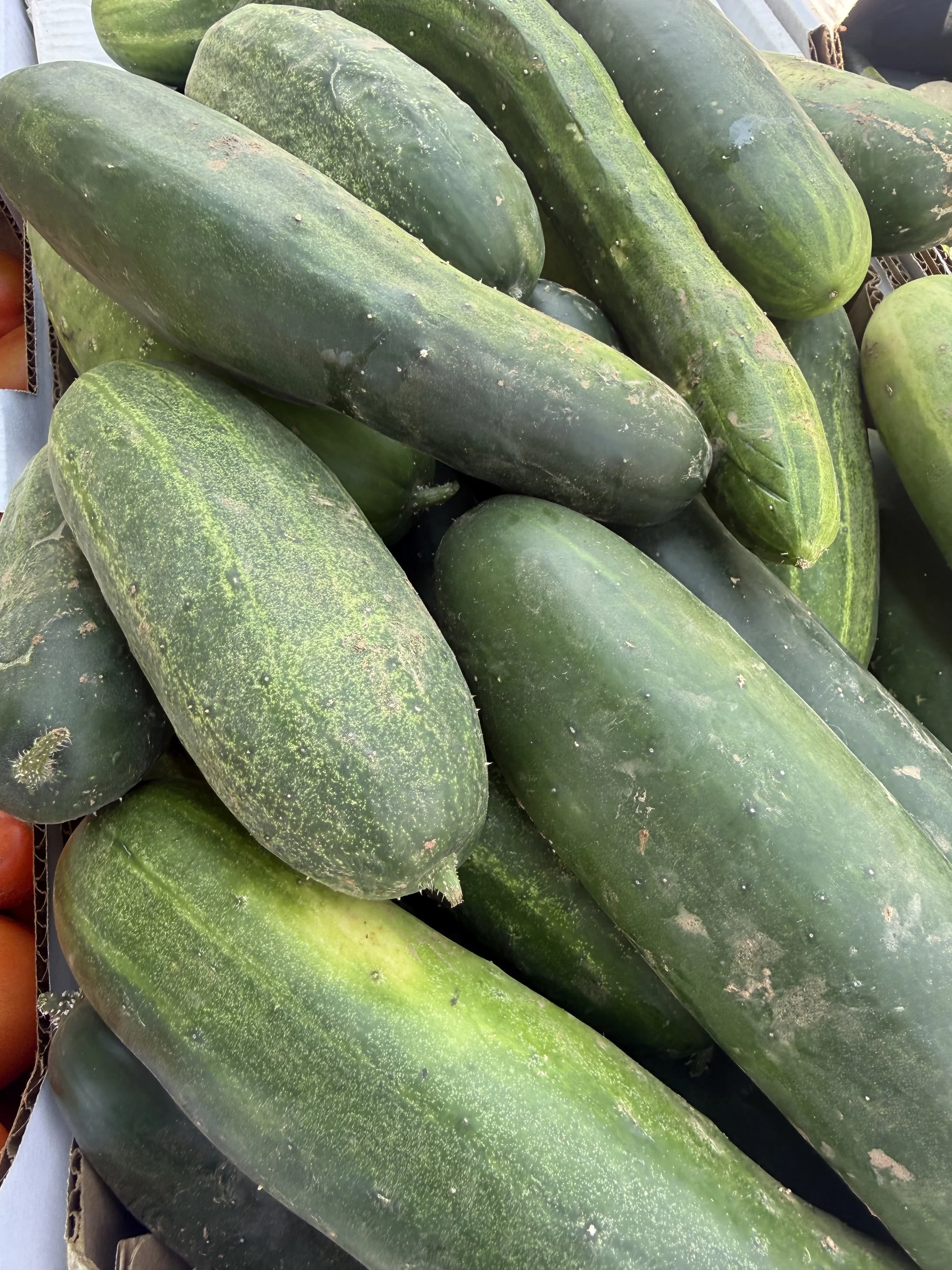 Close-up of several cucumbers stacked together, showing their dark green skin and textured surface. Howell Farmers market by Hear Here
