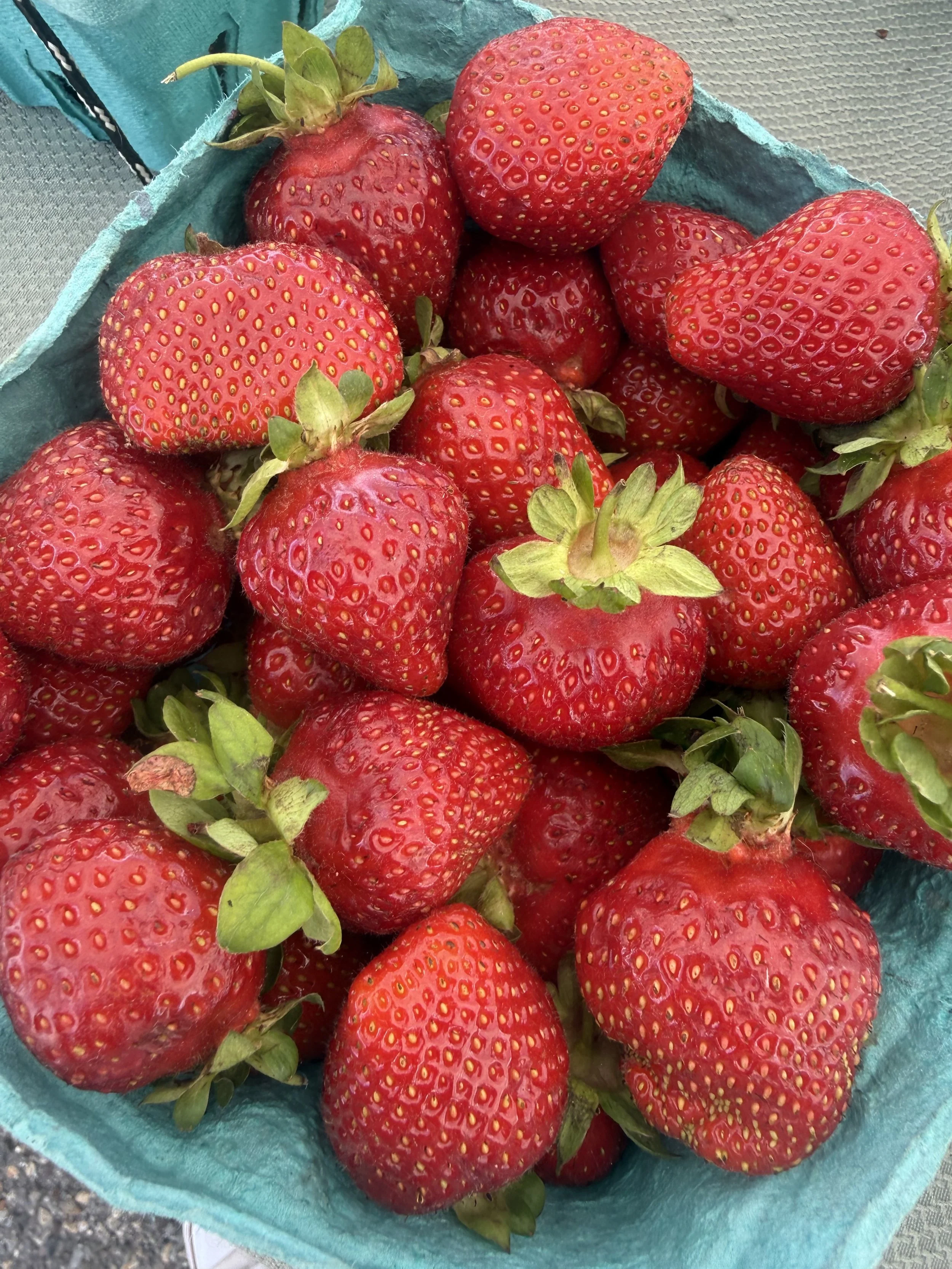 A basket of fresh red strawberries with green leaves, some strawberries are large and ripe, sitting on a textured surface. Howell Farmers market by Hear Here