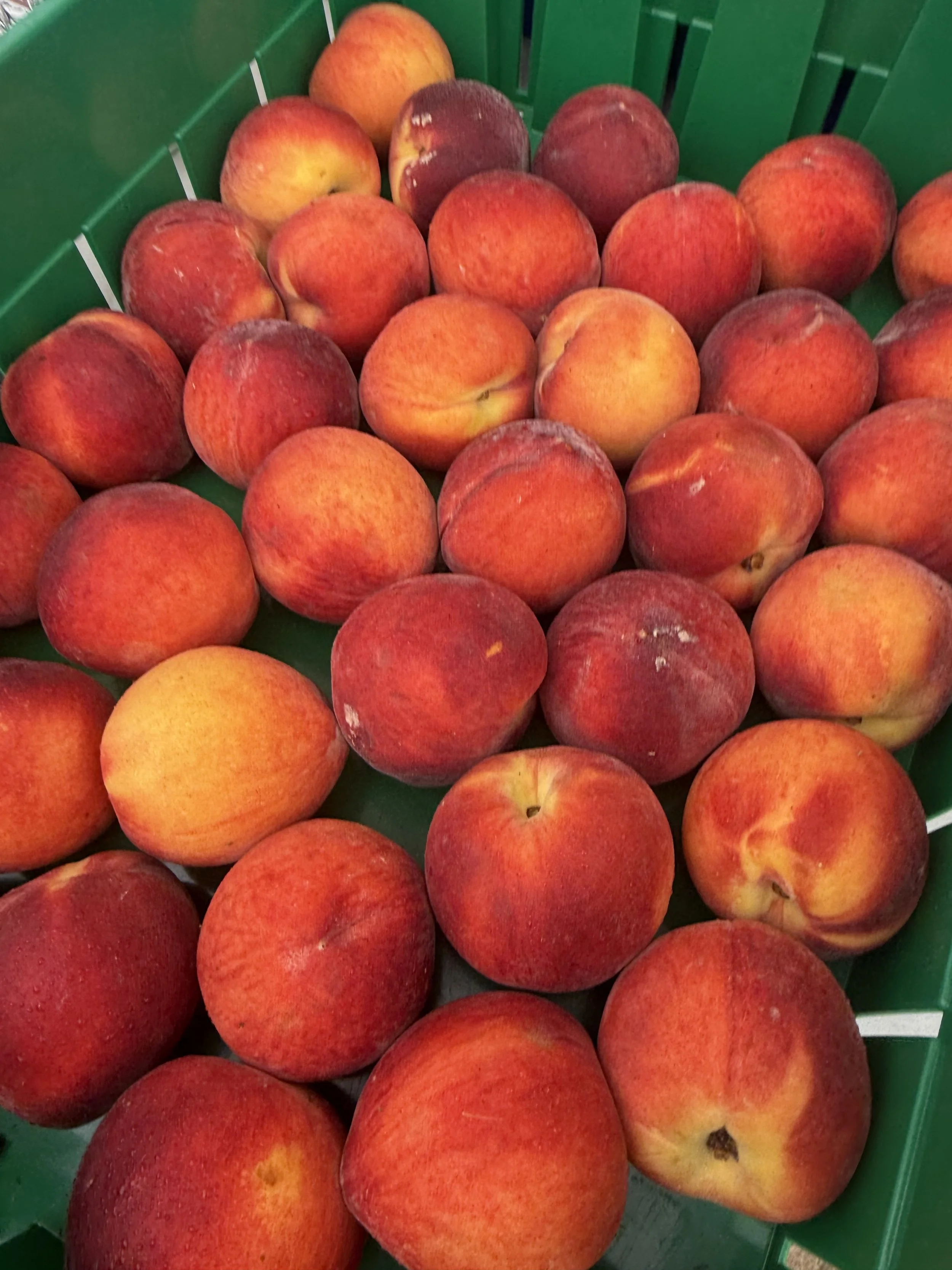 A green basket filled with ripe peaches with red and orange skin. Parsippany Farmers market b y Hear Here Events 2026 season