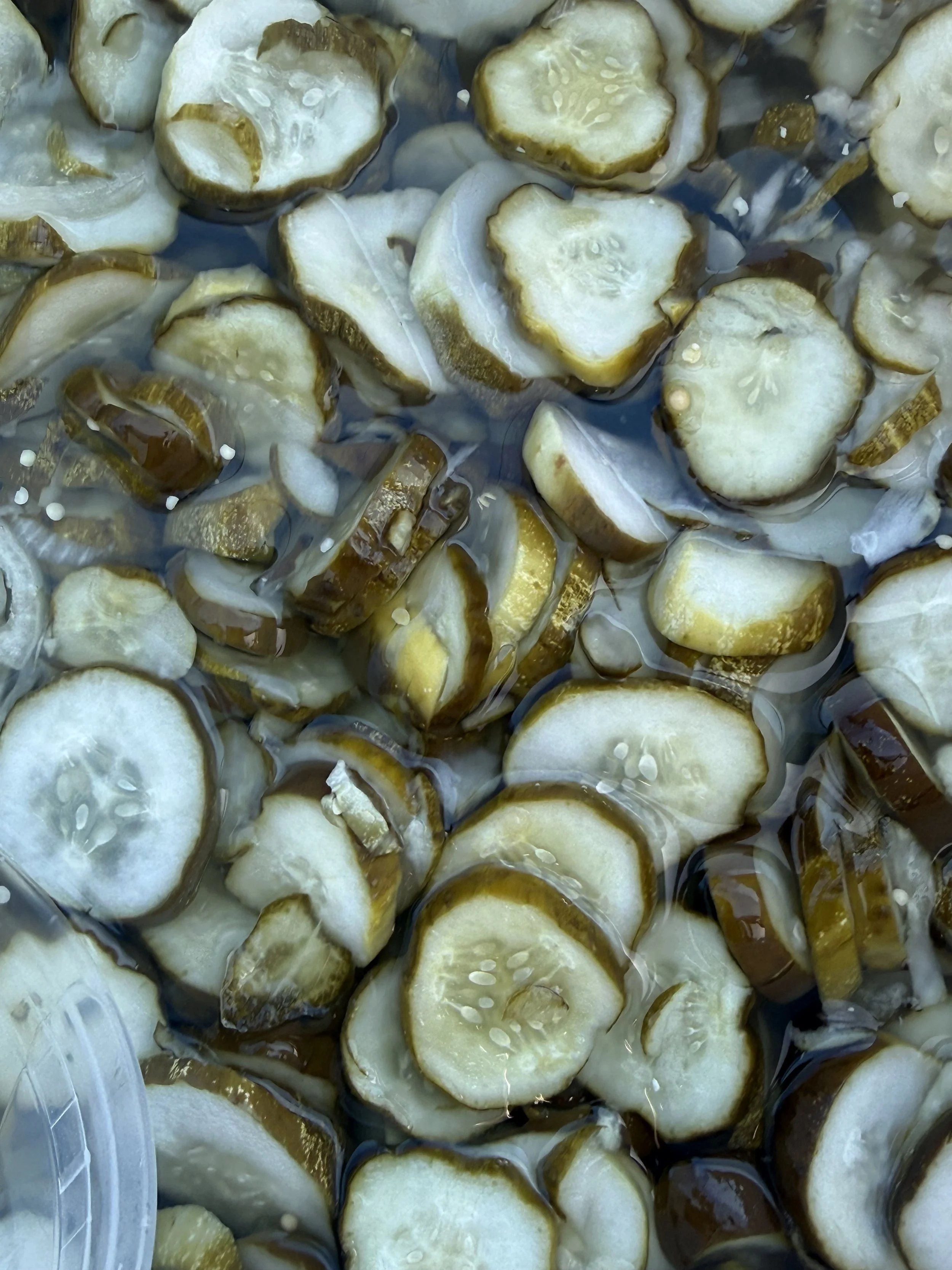 Close-up of cucumber slices submerged in water. Parsippany Farmers market b y Hear Here Events 2026 season. pickles