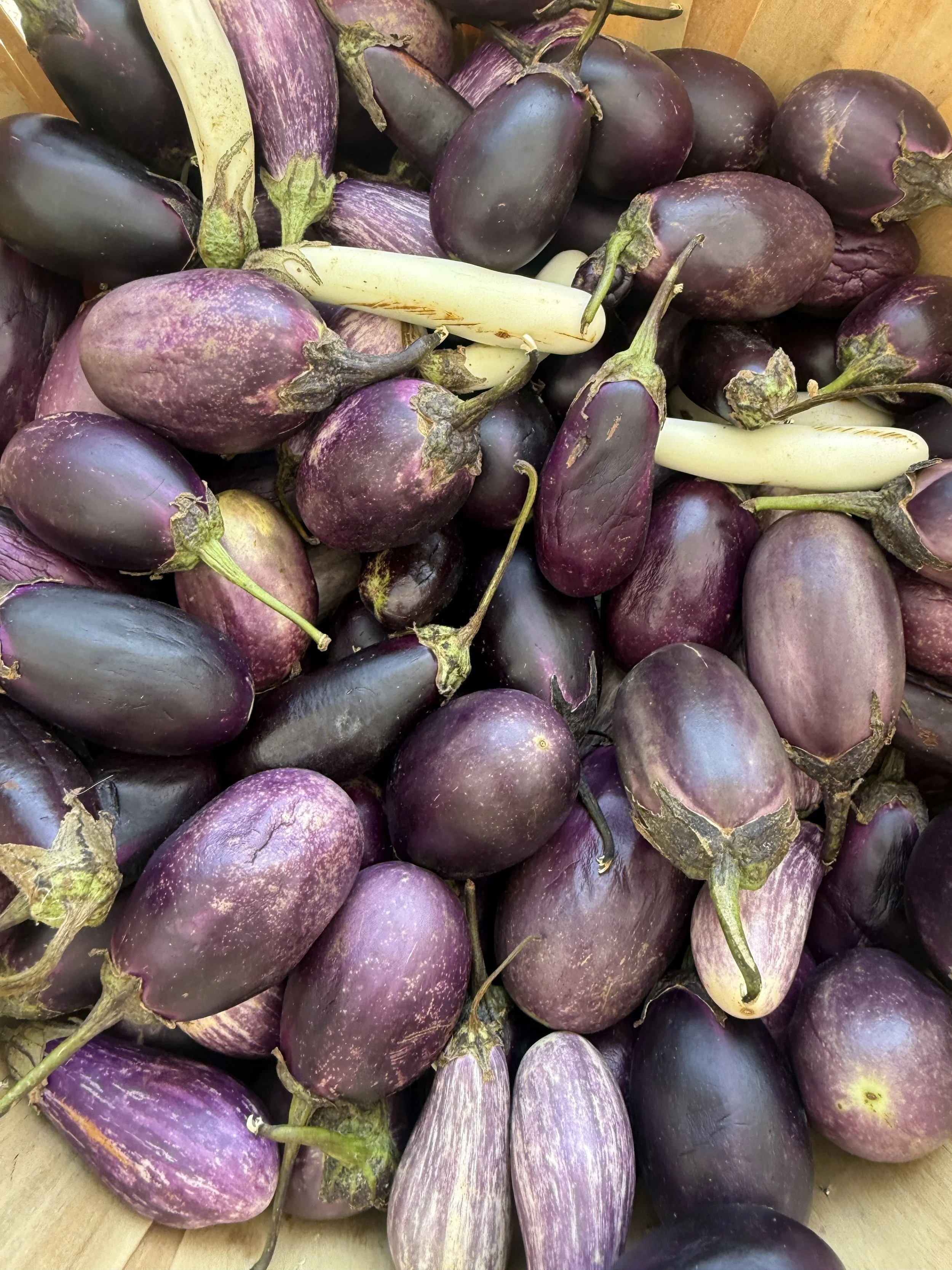 Various eggplants, including purple and white varieties, piled together on a wooden surface. Parsippany Farmers market by Hear Here Events 2026 season