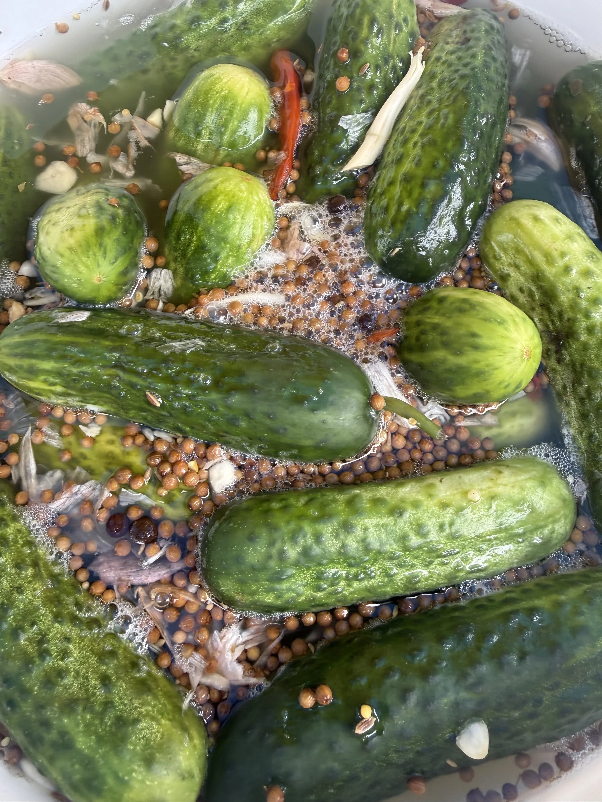 Pickles submerged in a liquid with garlic, red chili, and mustard seeds. Allenhurst Farmers market by Hear Here
