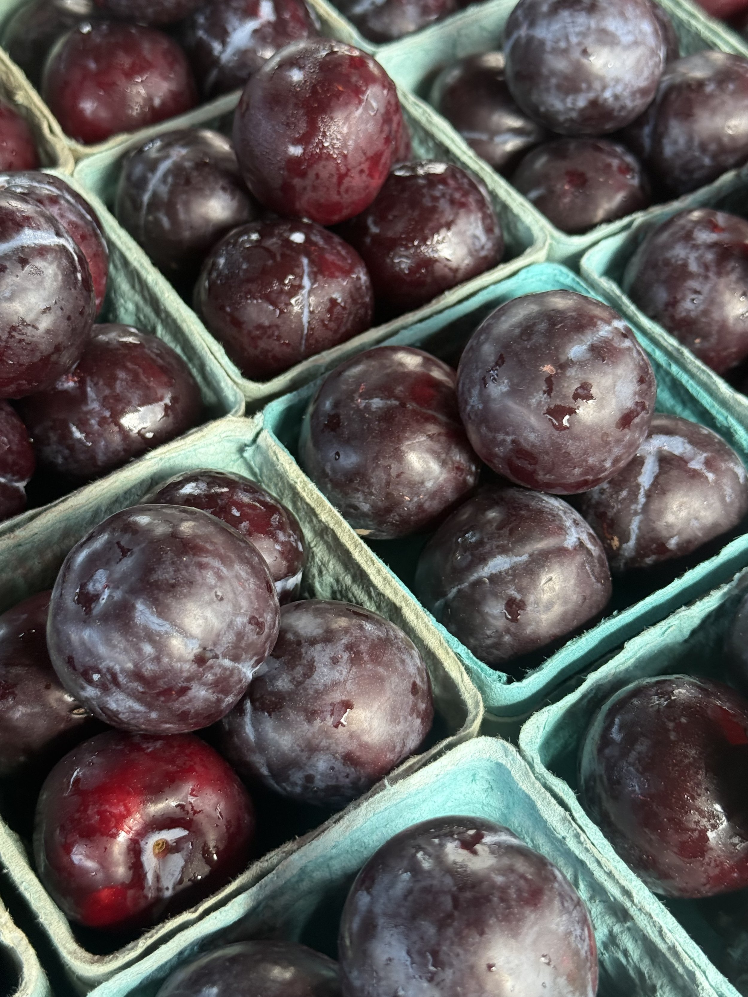 Close-up of multiple red and purple grapes piled in green cardboard containers. Howell Farmers market by Hear Here