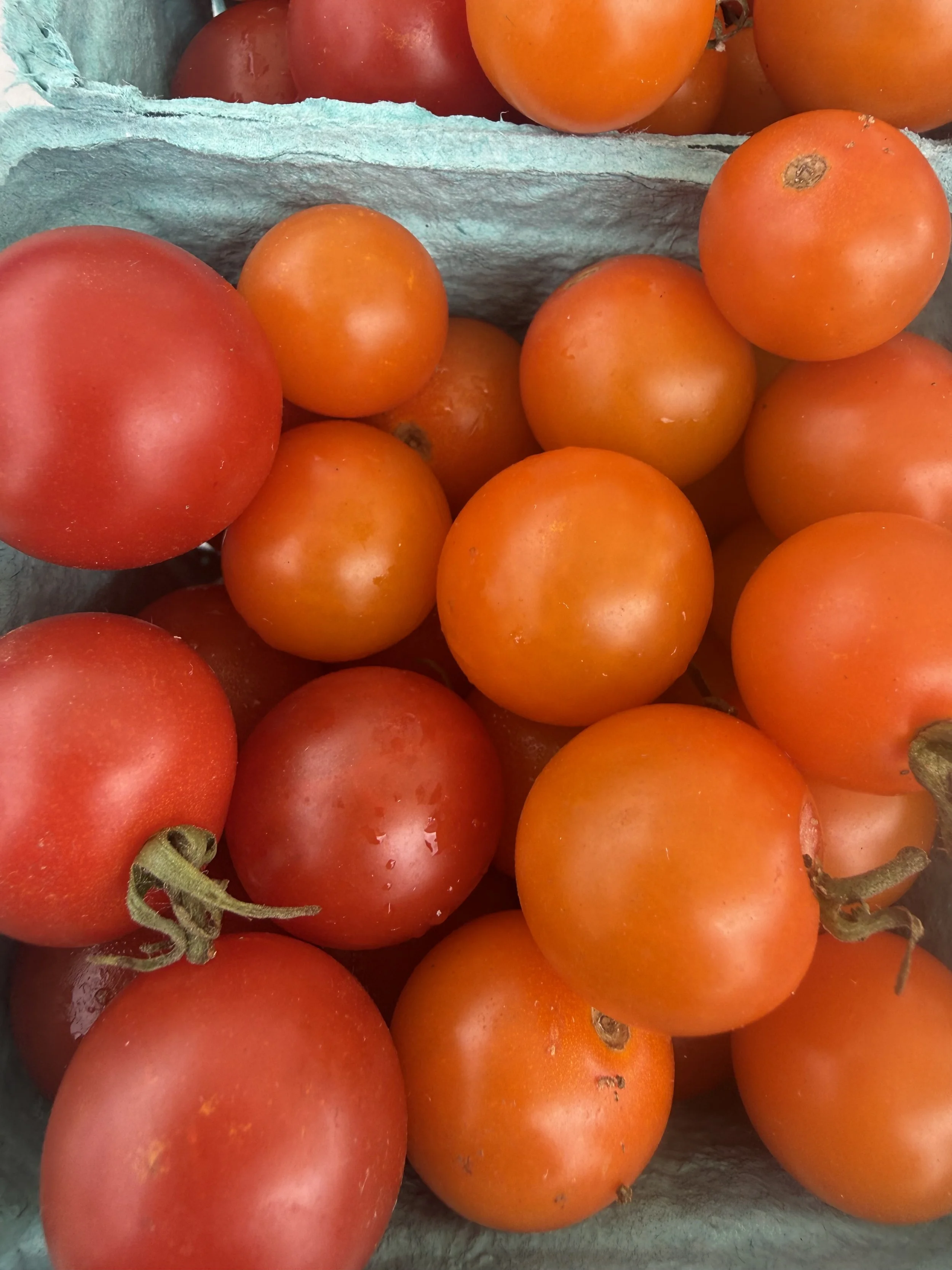 A close-up of red and orange tomatoes, some with green stems, in a basket lined with green material. Howell Farmers market by Hear Here