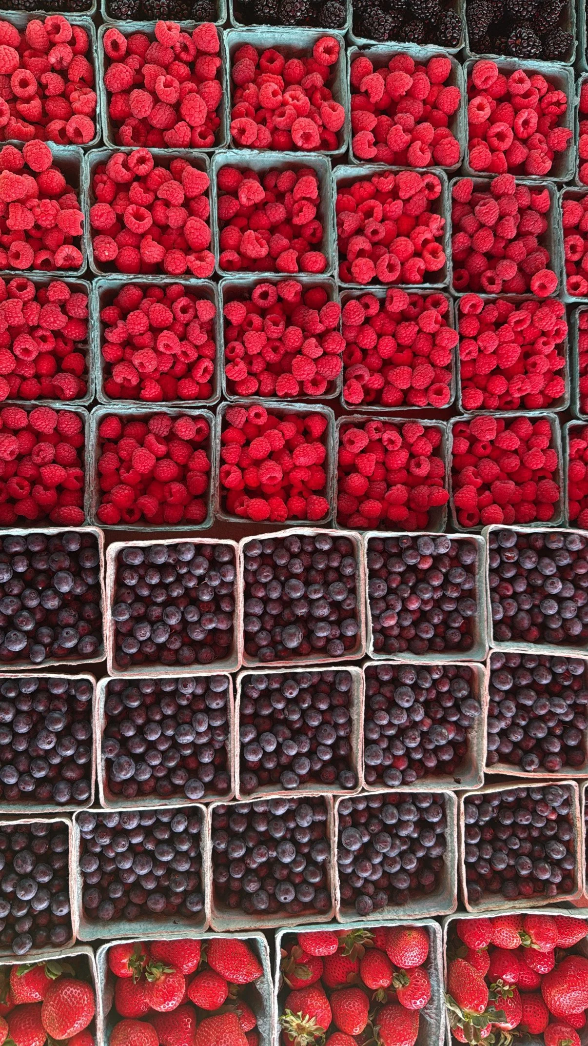 Baskets of fresh raspberries, blackberries, blueberries, and strawberries arranged in a grid. Howell Farmers market by Hear Here