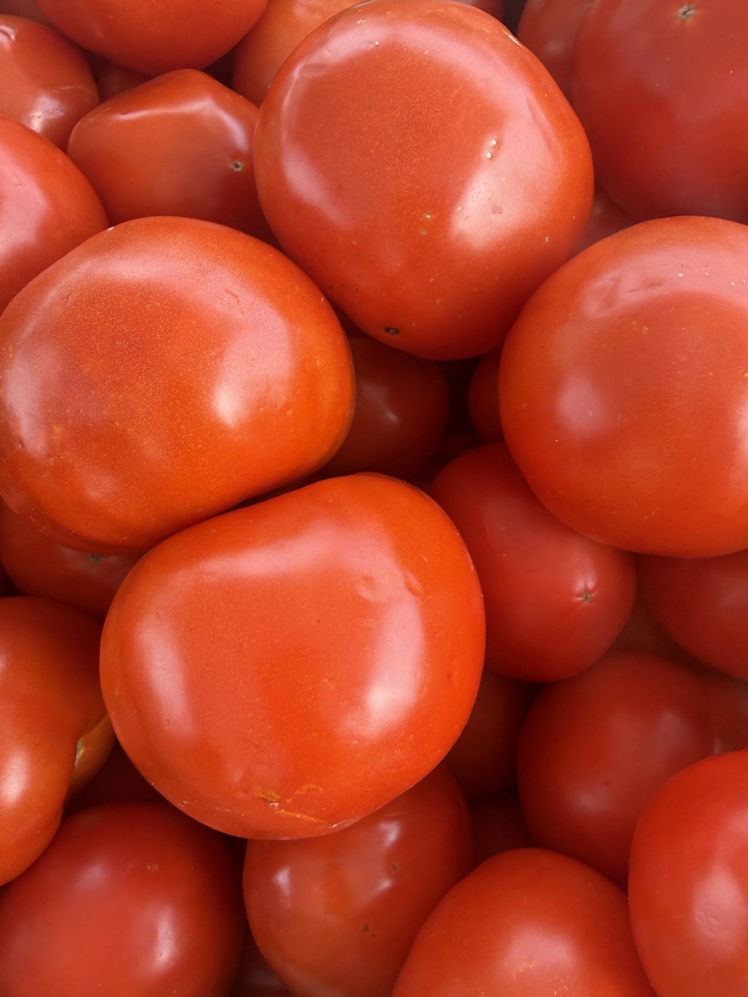 Close-up of red tomatoes showing smooth, shiny skin with some small blemishes and green stems. Parsippany Farmers market by Hear Here Events 2026 season