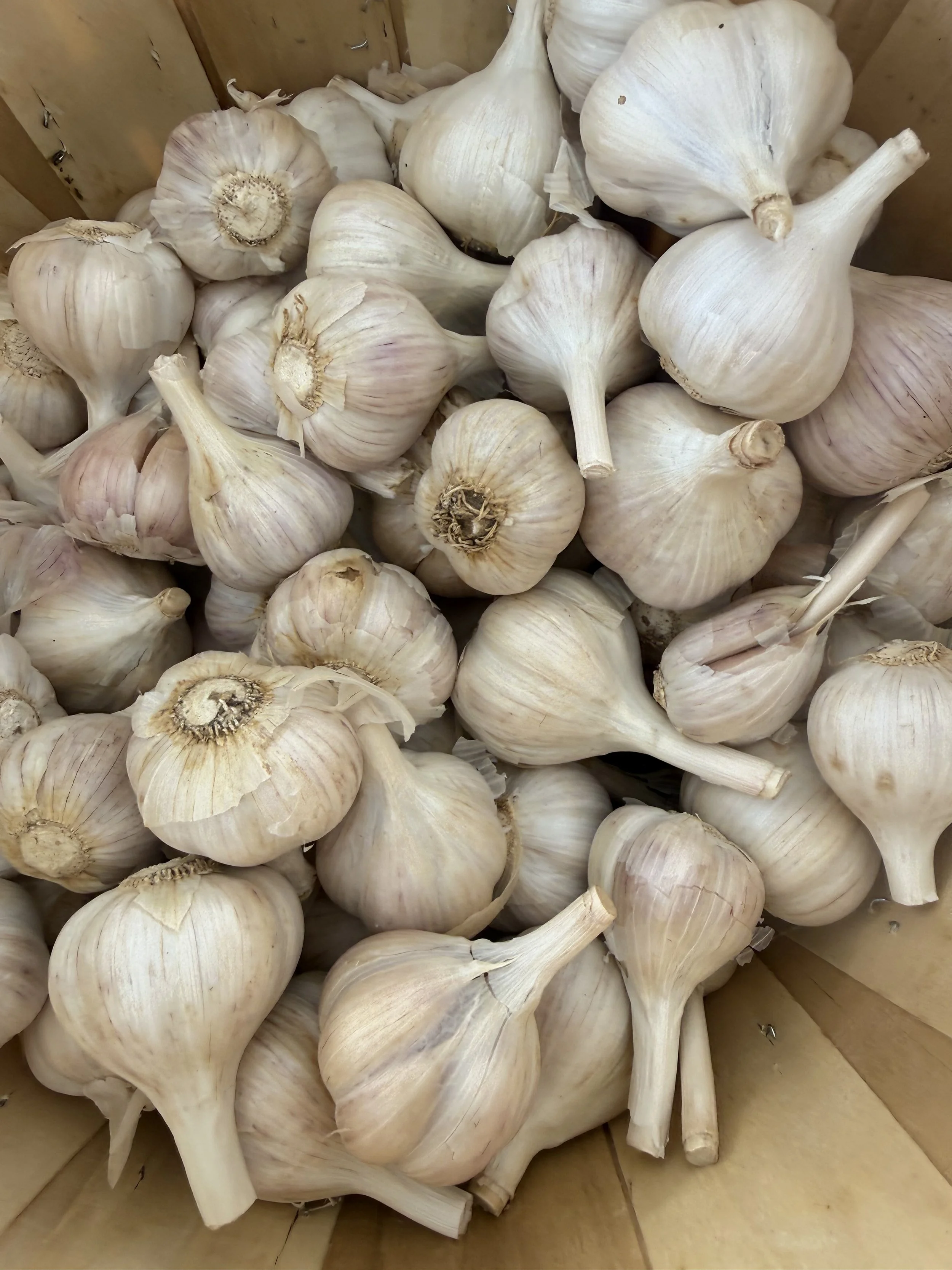 A pile of whole garlic bulbs in a cardboard box. Parsippany Farmers market by Hear Here Events 2026 season