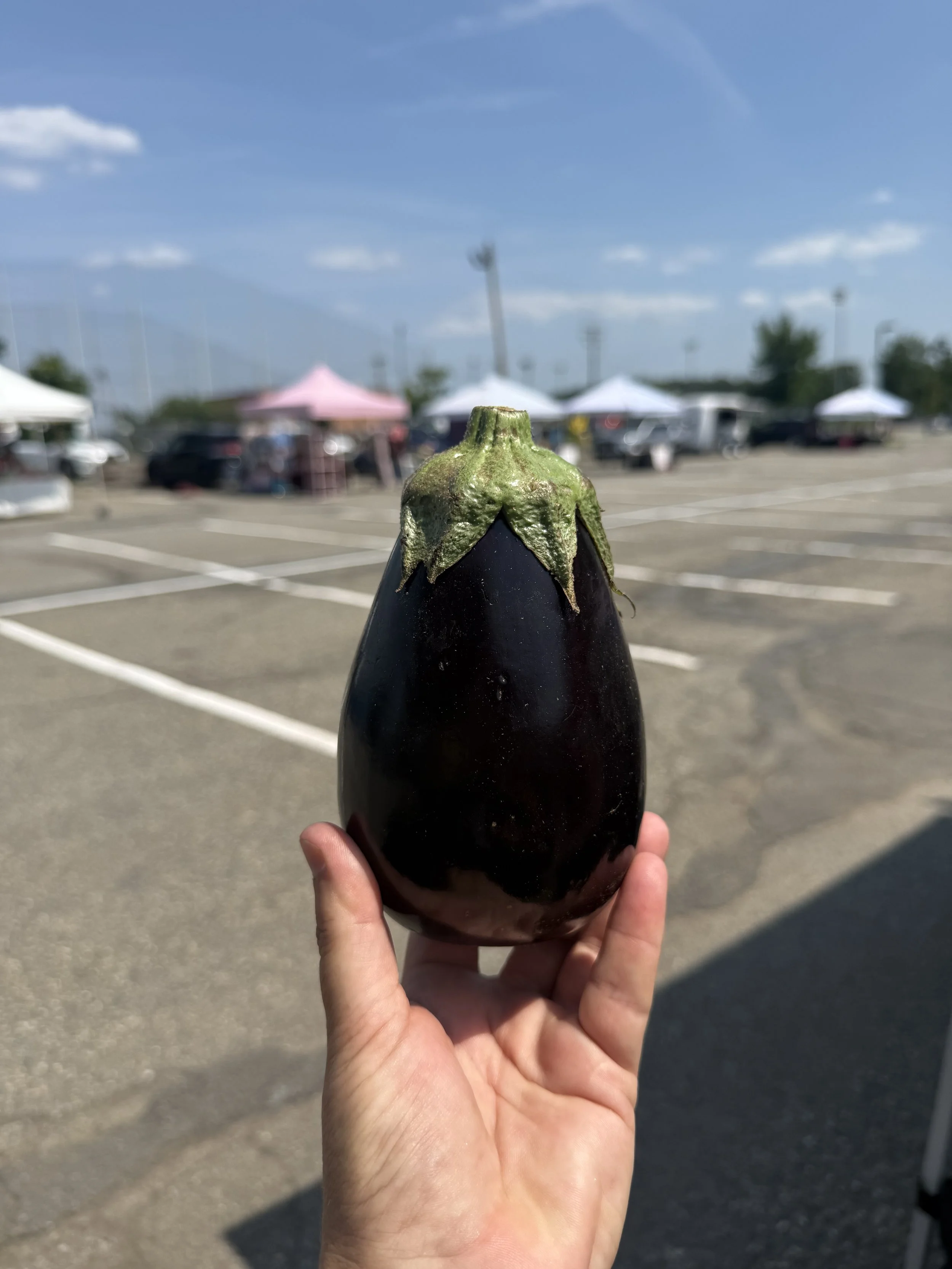 Hand holding a large, shiny eggplant outdoors in a parking lot with tents and cars in the background under a partly cloudy sky. Parsippany Farmers market by Hear Here Events 2026 season