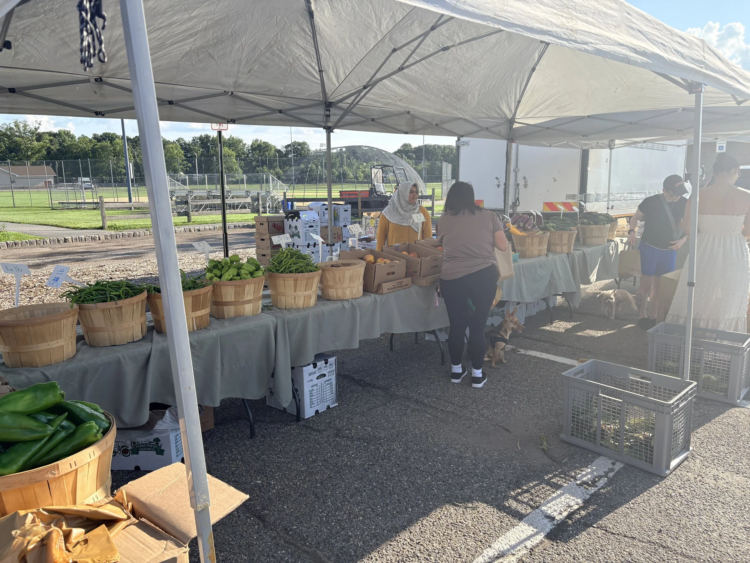An outdoor farmers market stall with baskets of green peppers, green beans, and peaches under a canopy. There are people shopping, a woman wearing a hijab, and a person with a dog. Parsippany Farmers market by Hear Here Events 2026 season