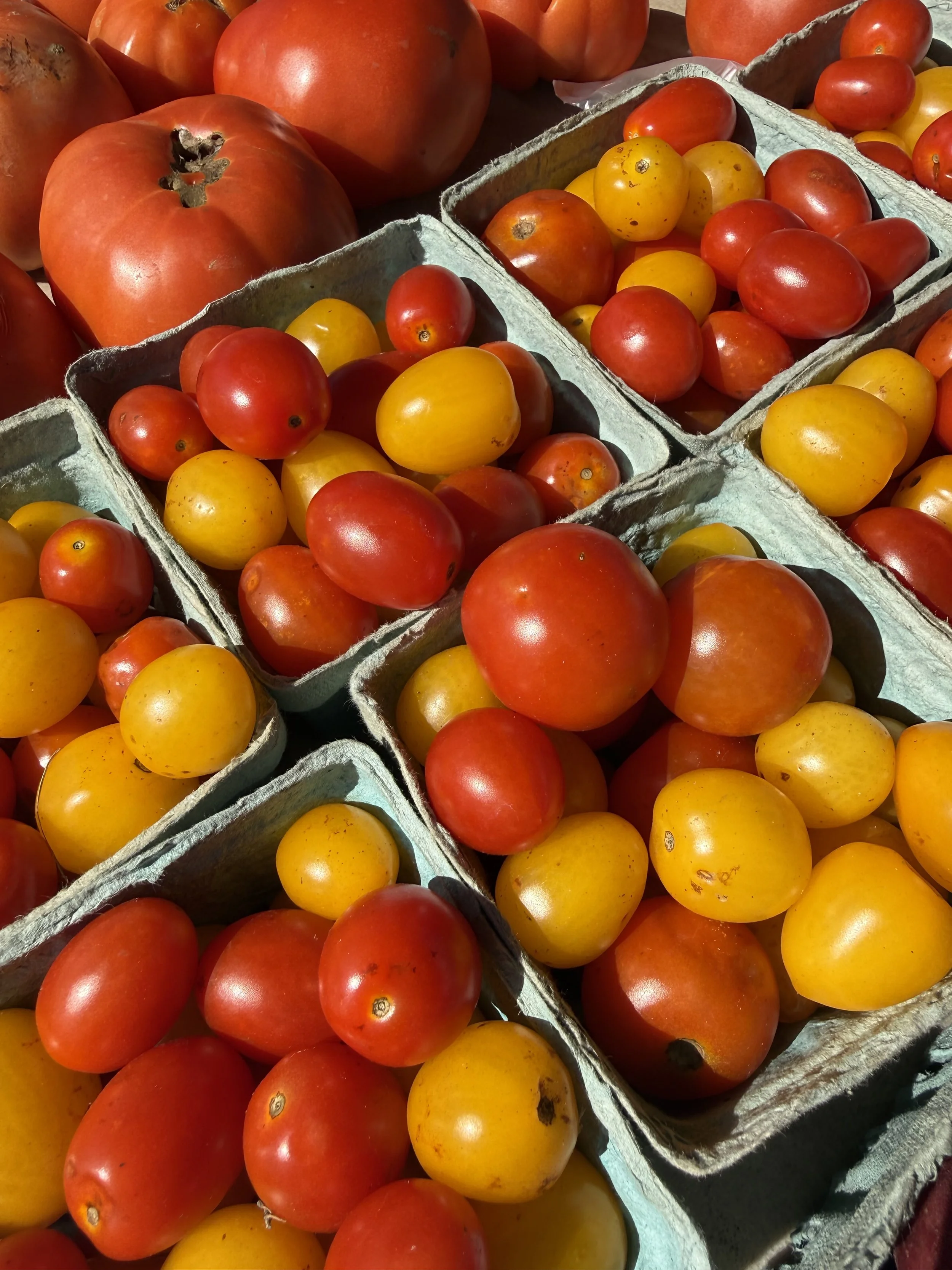 A display of various heirloom tomatoes in red and yellow, packed in foam containers at an outdoor market. Allenhurst Farmers market by Hear Here