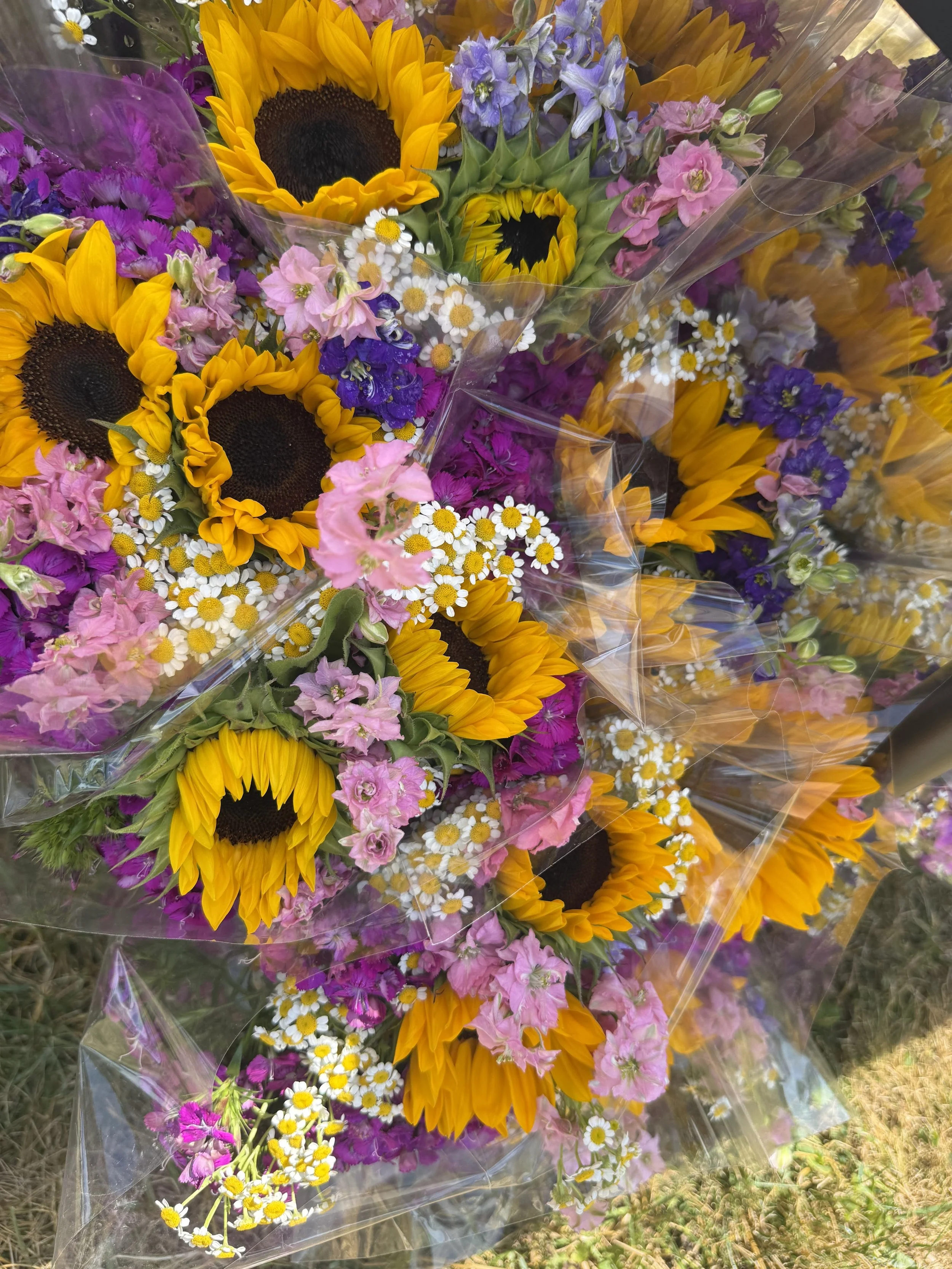 Bouquet of mixed flowers including sunflowers, pink flowers, daisies, and purple flowers wrapped in clear plastic. Allenhurst Farmers market by Hear Here