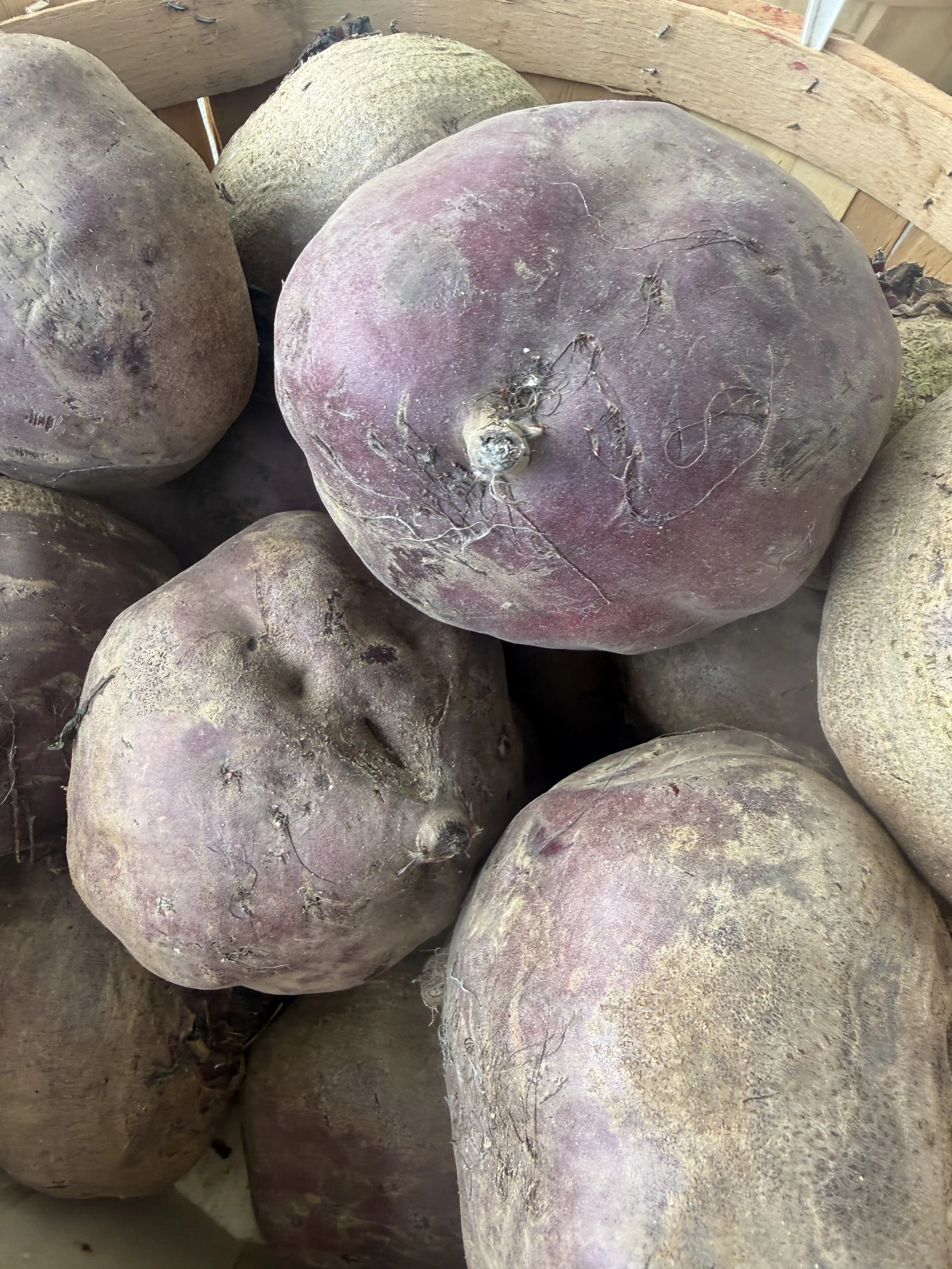 Close-up view of several large, round, purple and brown roots, possibly beets, with some dirt on them, placed among wooden planks or crates. Parsippany Farmers market by Hear Here Events 2026 season
