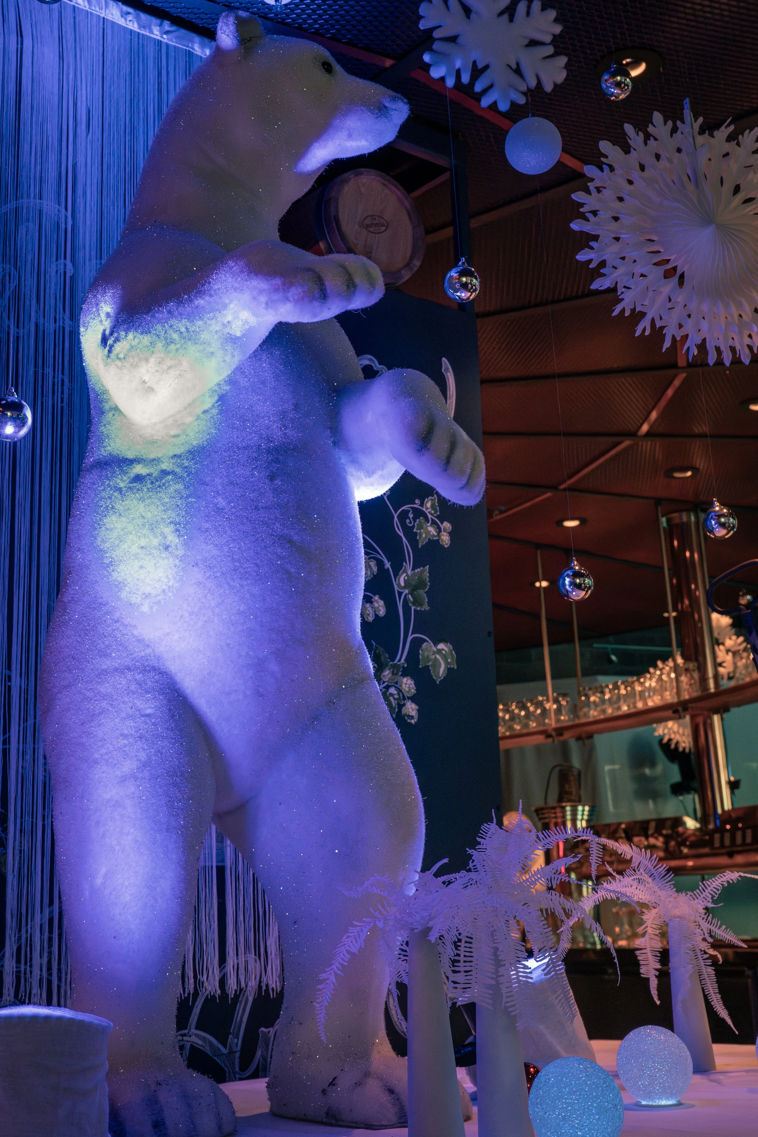 20251122_AirBrau_FrozenWonders-30.jpg